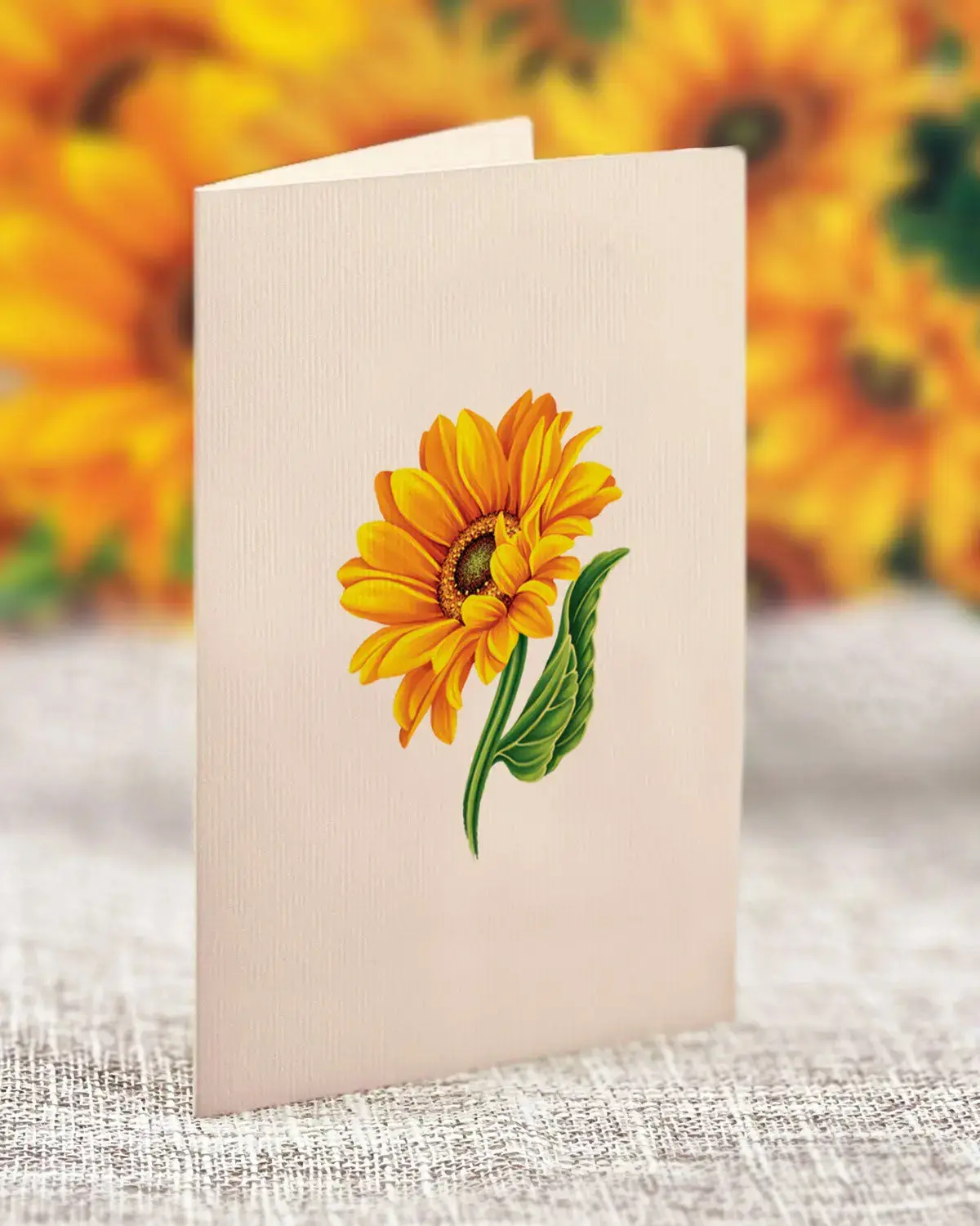 Mini Sunflowers - Image 5