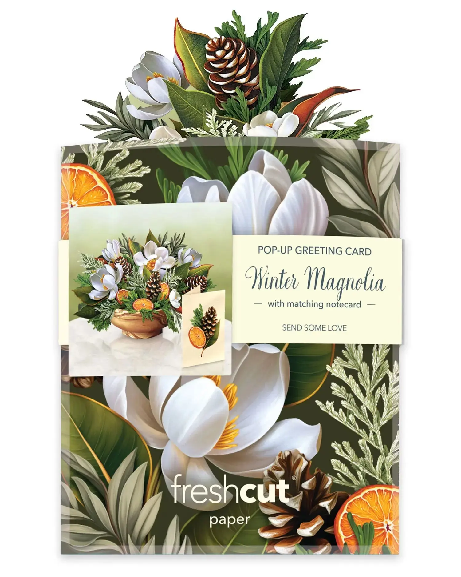 Mini Winter Magnolia - Image 5