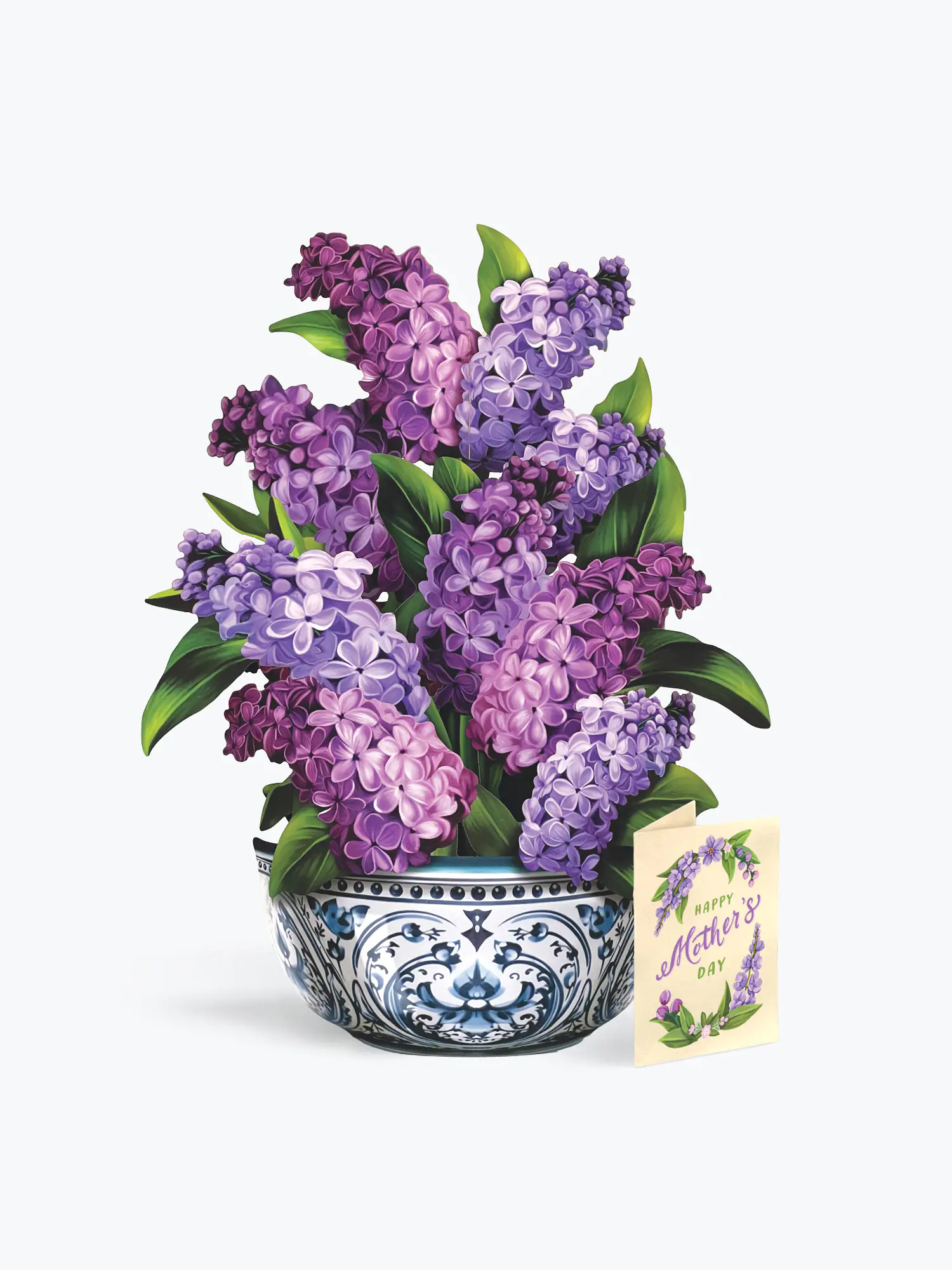 Mother's Day Garden Lilacs - Image 4
