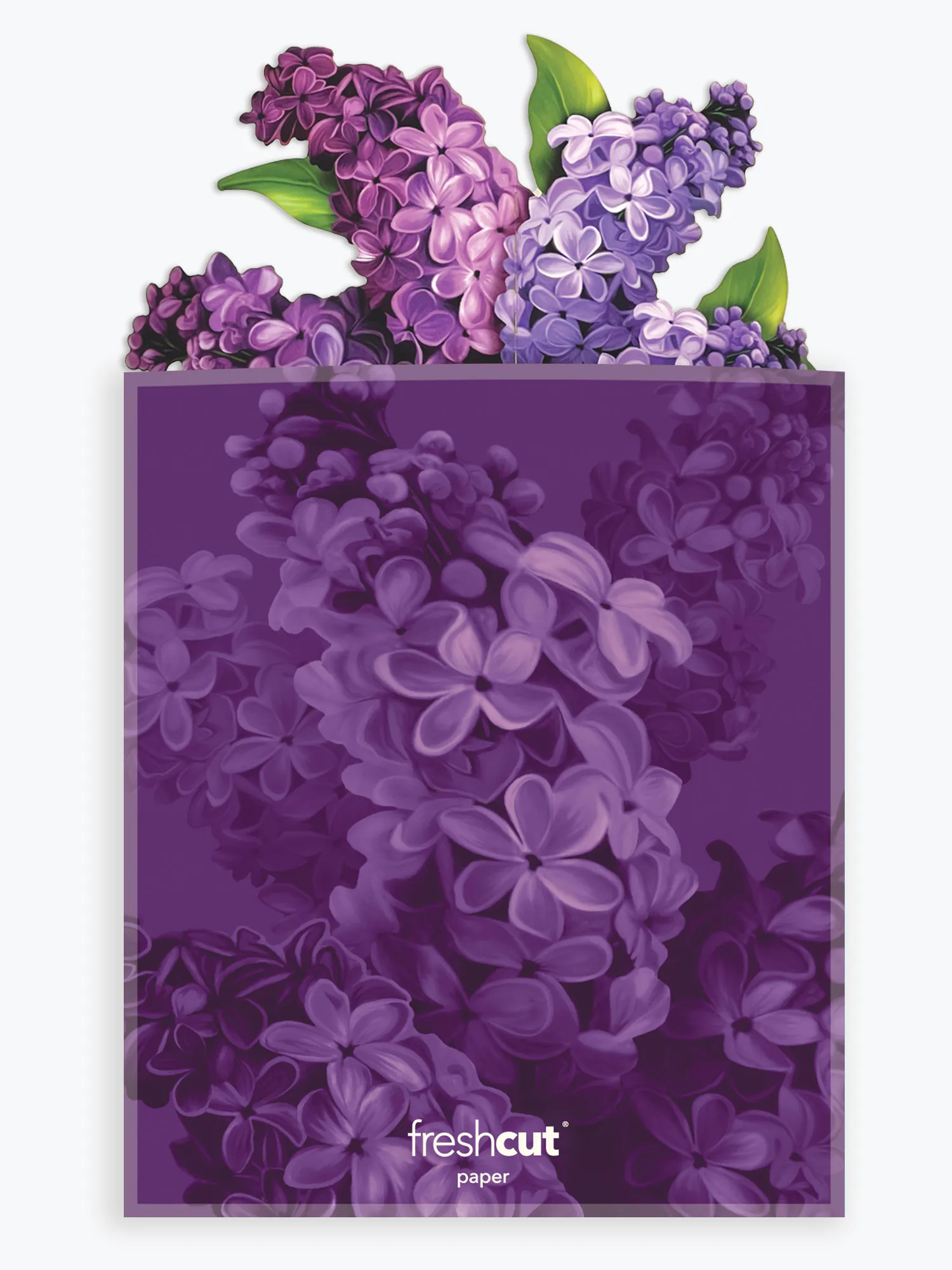 Mother's Day Garden Lilacs - Image 5