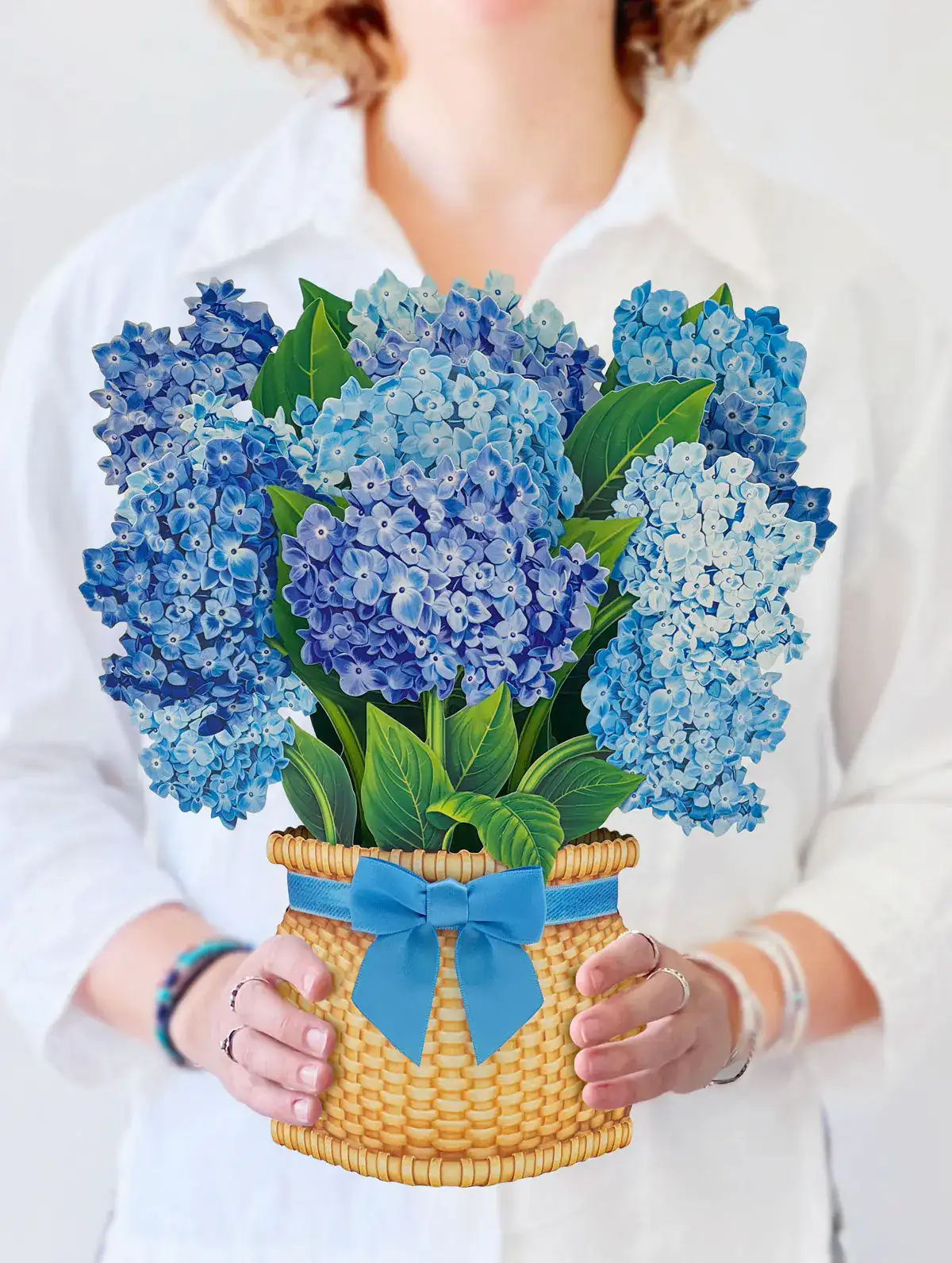 Nantucket Hydrangeas - Image 3