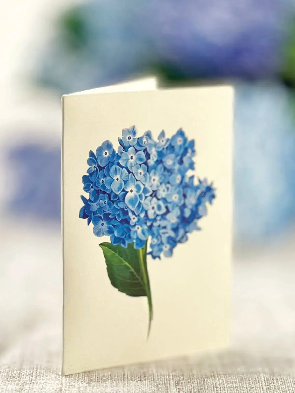 Nantucket Hydrangeas - Image 6