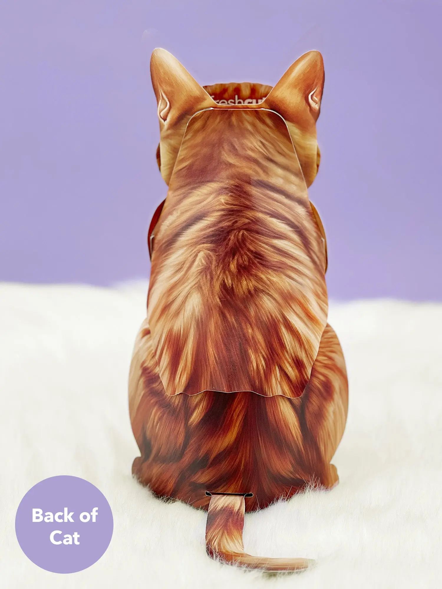 Orange Tabby Cat - Image 3