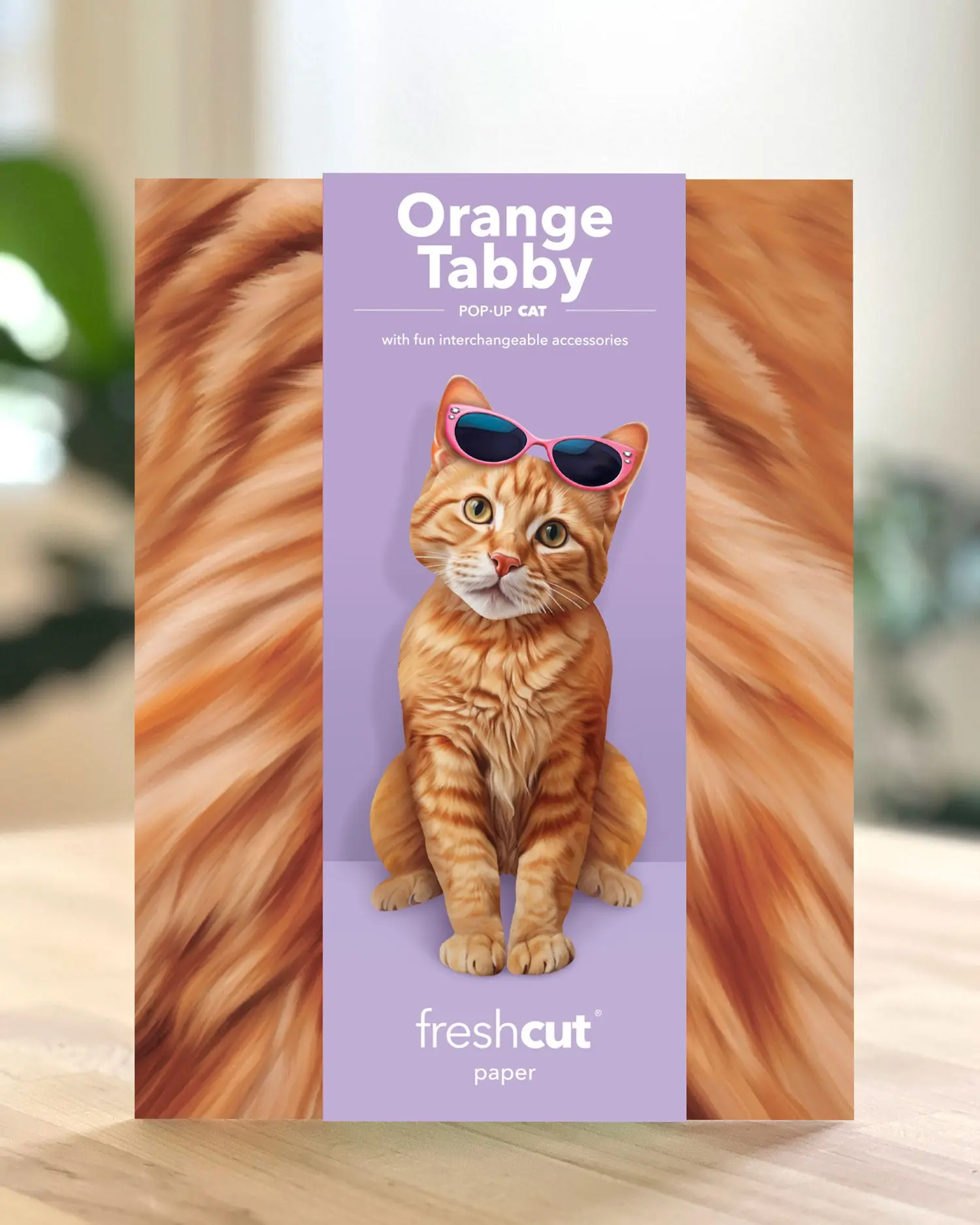 Orange Tabby Cat - Image 5