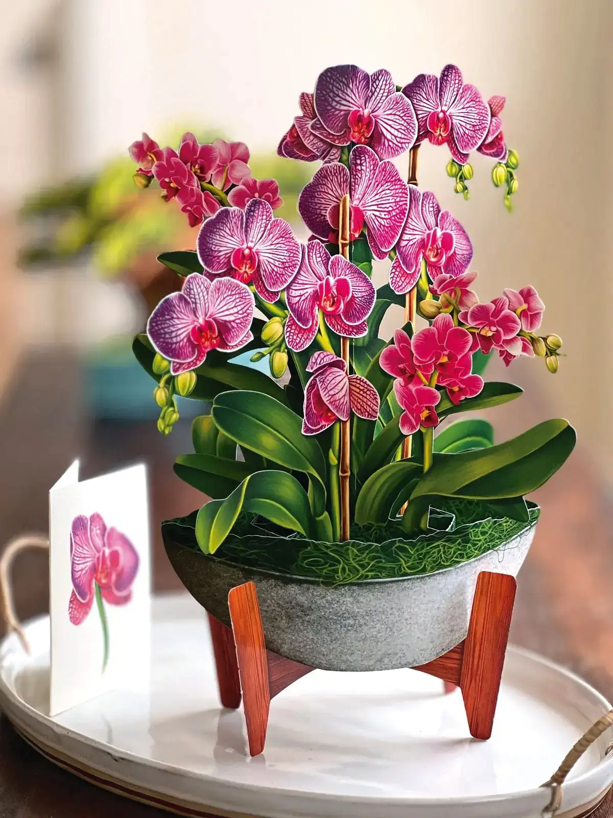 Orchid Oasis - Image 3