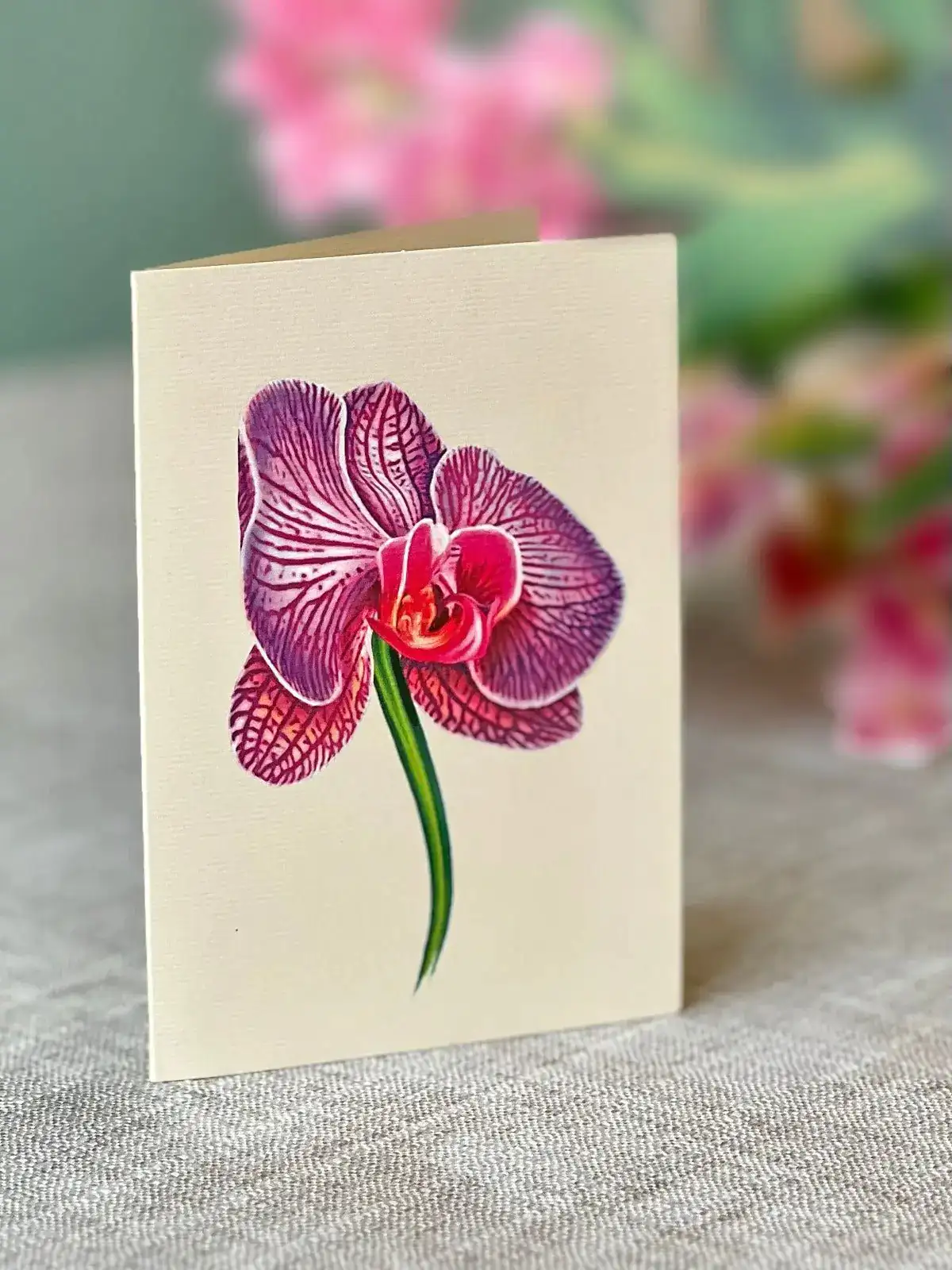 Orchid Oasis - Image 5