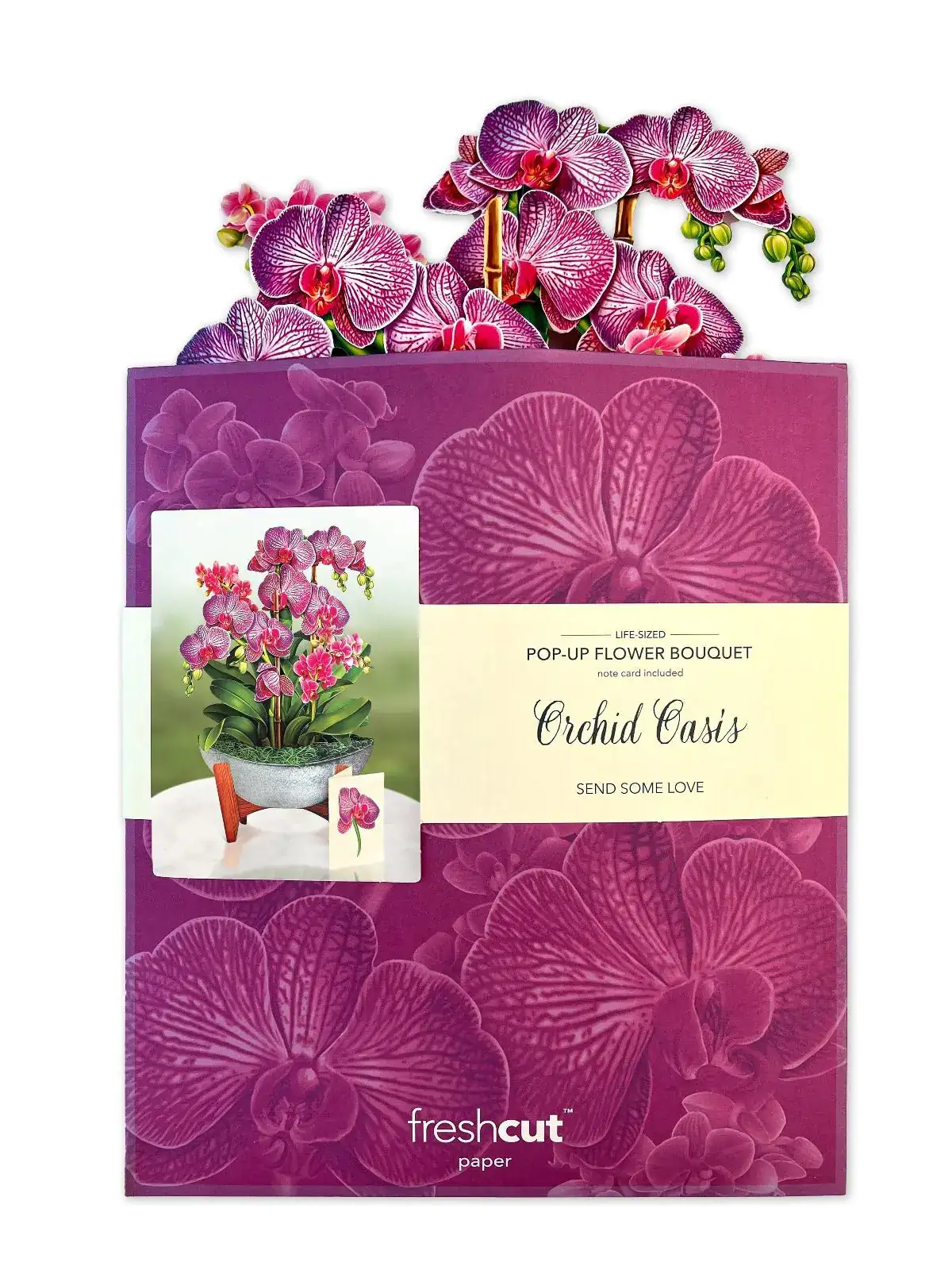 Orchid Oasis - Image 6