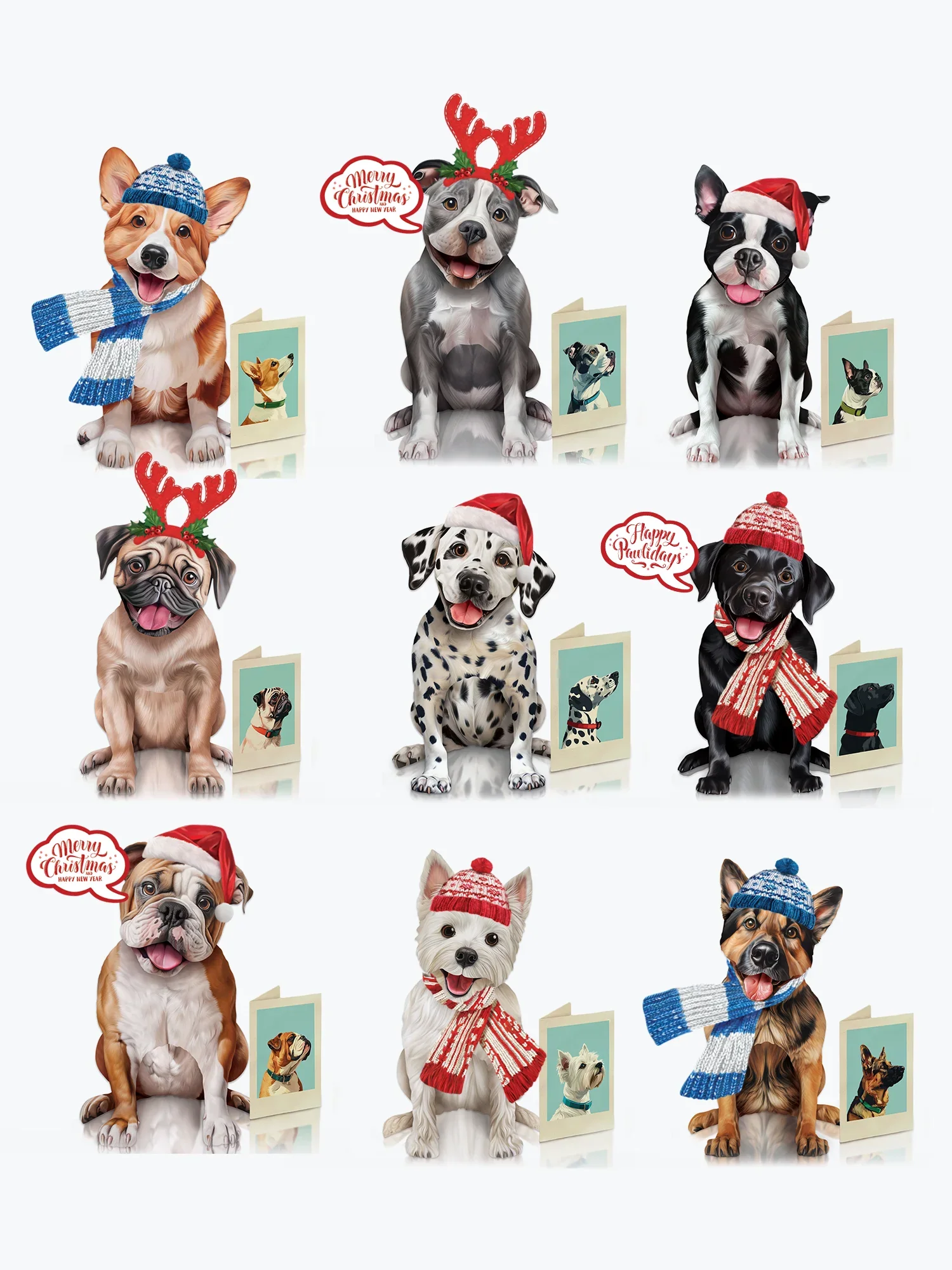 Pawliday Set - Image 2