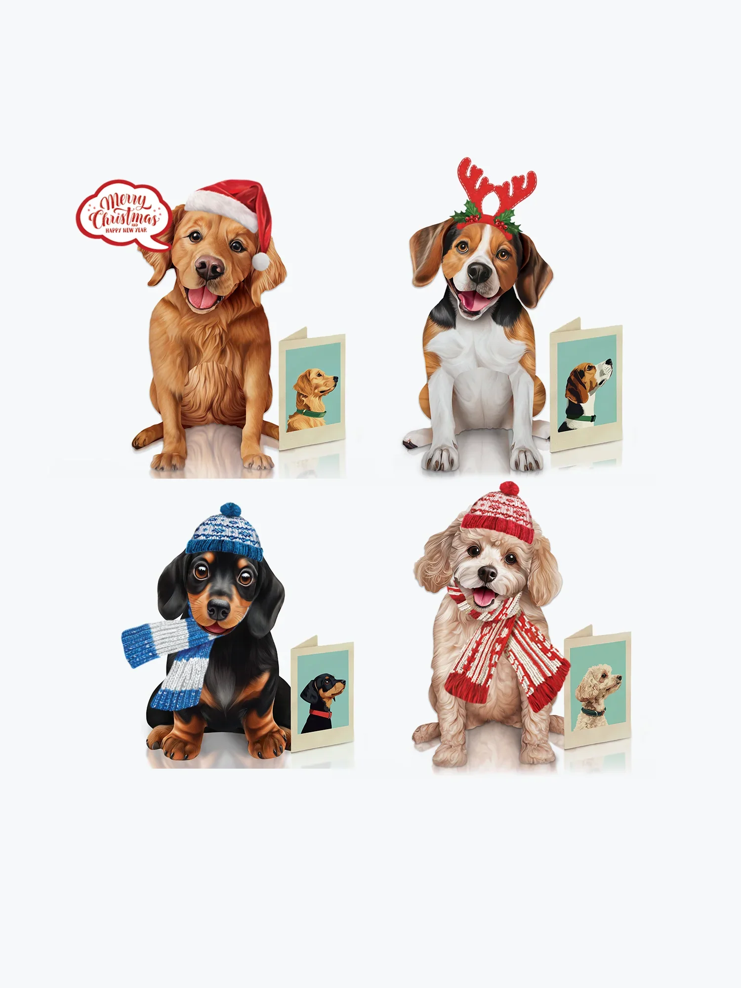 Pawliday Set - Image 3