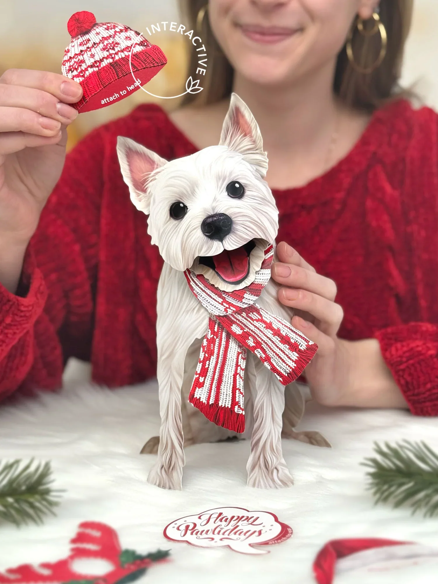 Pawliday Set - Image 4
