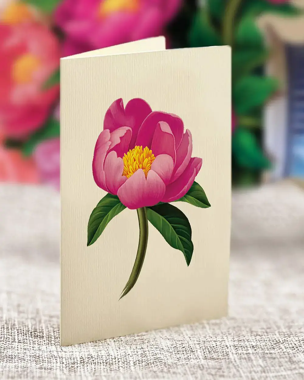 Peony Paradise - Image 5