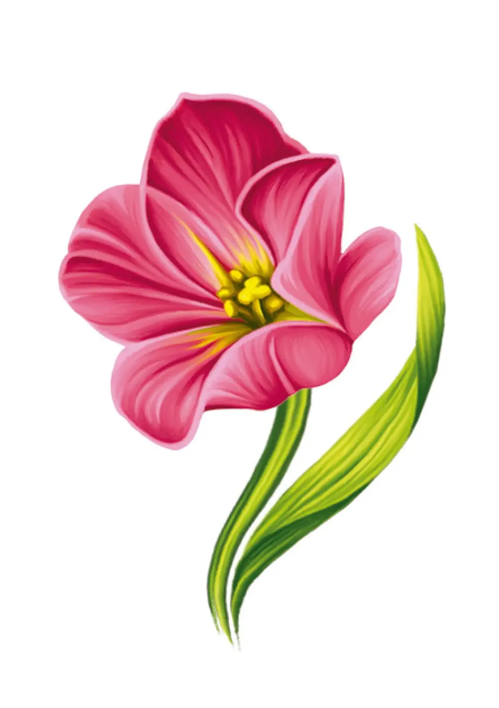 Festive Tulip Card