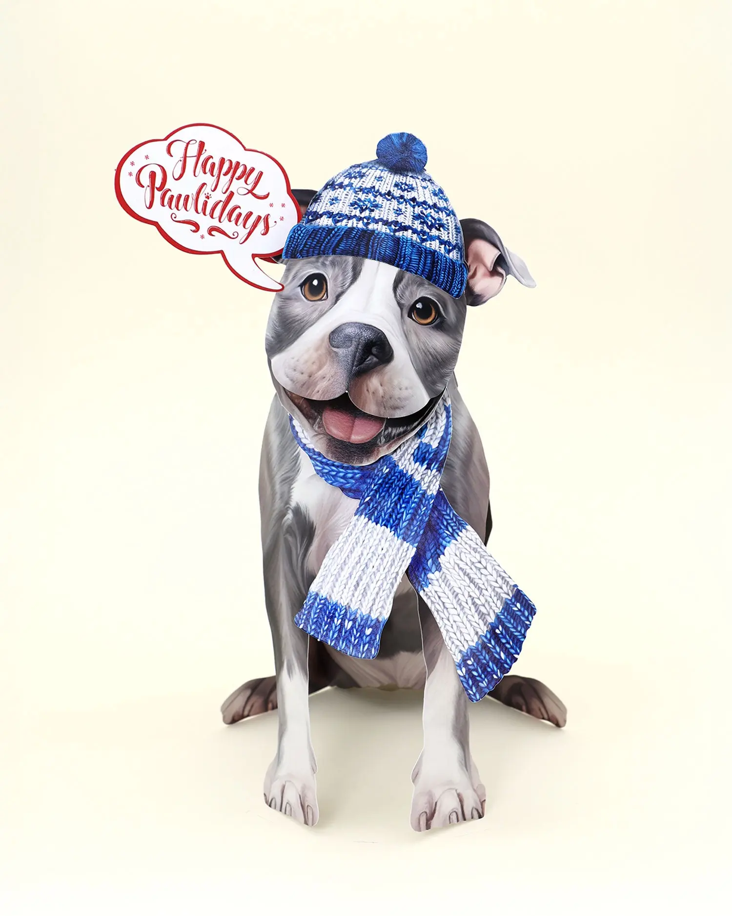 Holiday Pit Bull