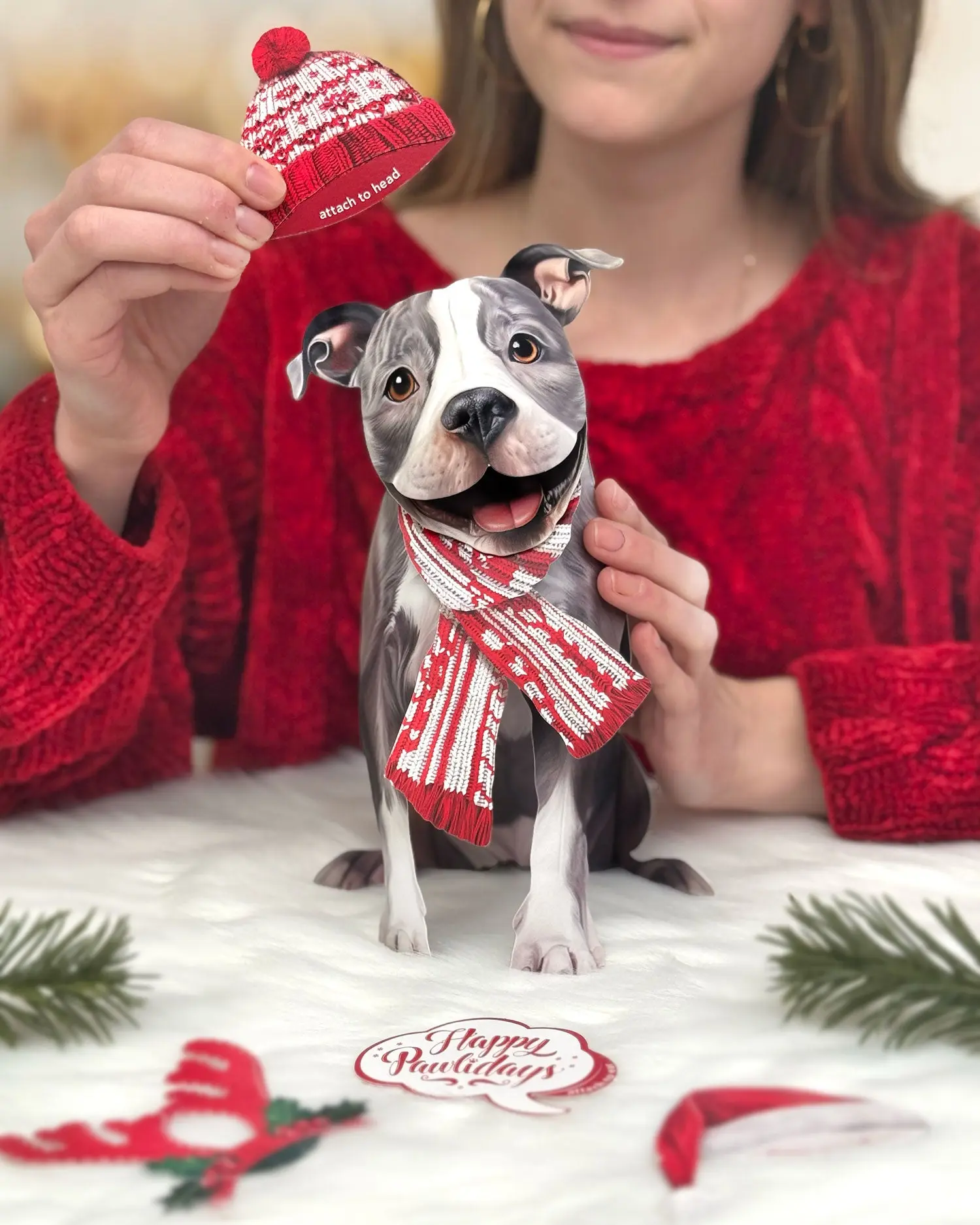 Holiday Pit Bull - Image 2