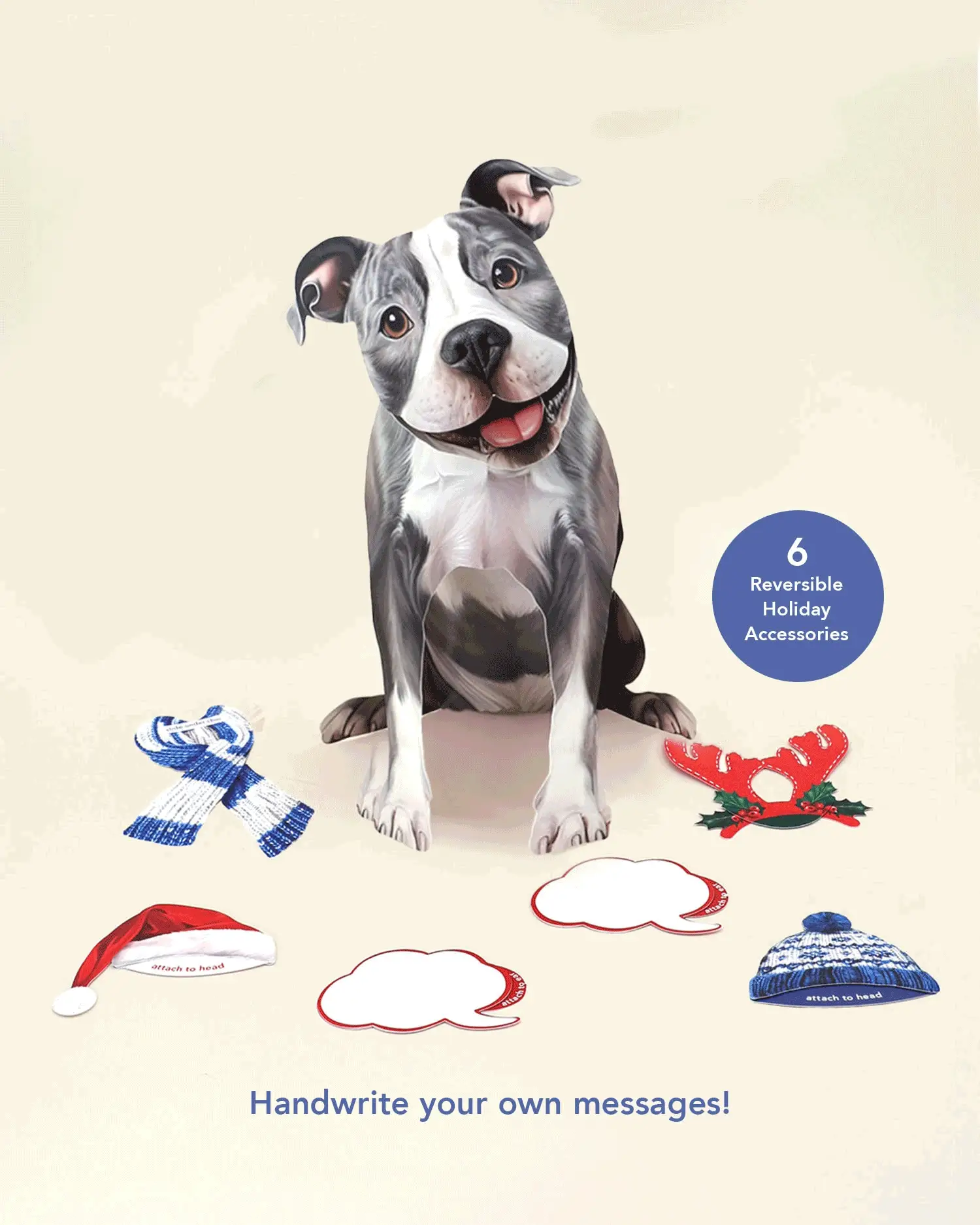 Holiday Pit Bull - Image 3