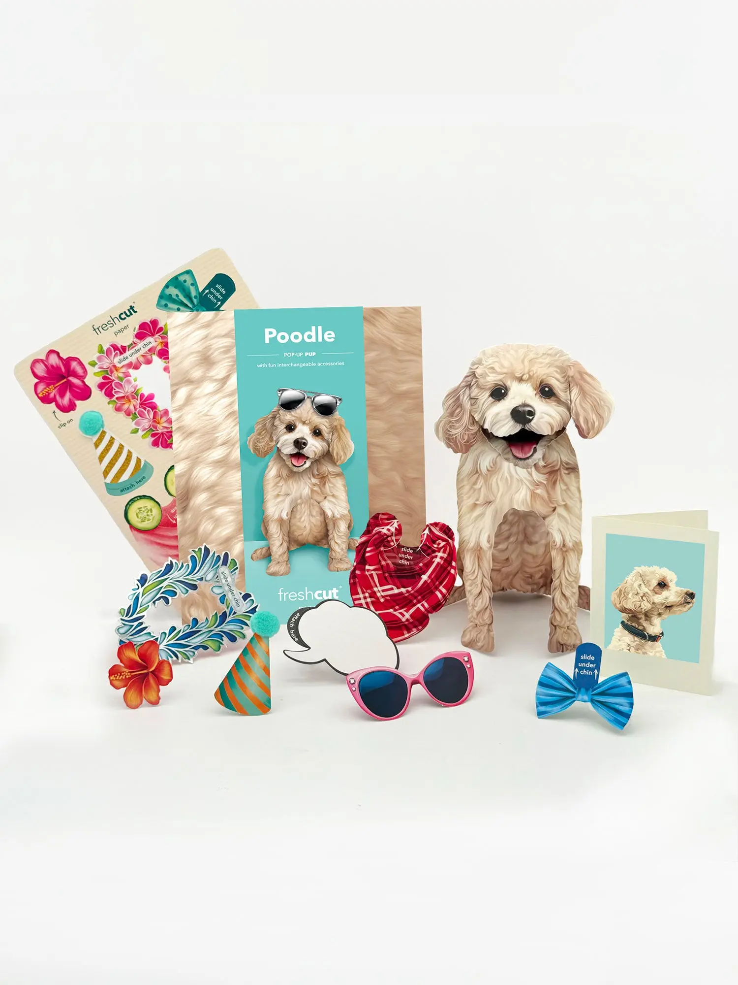 Poodle - Image 2