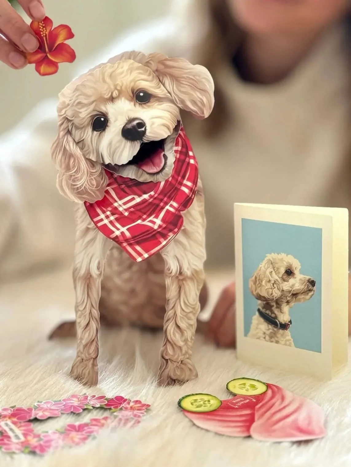 Poodle - Image 3