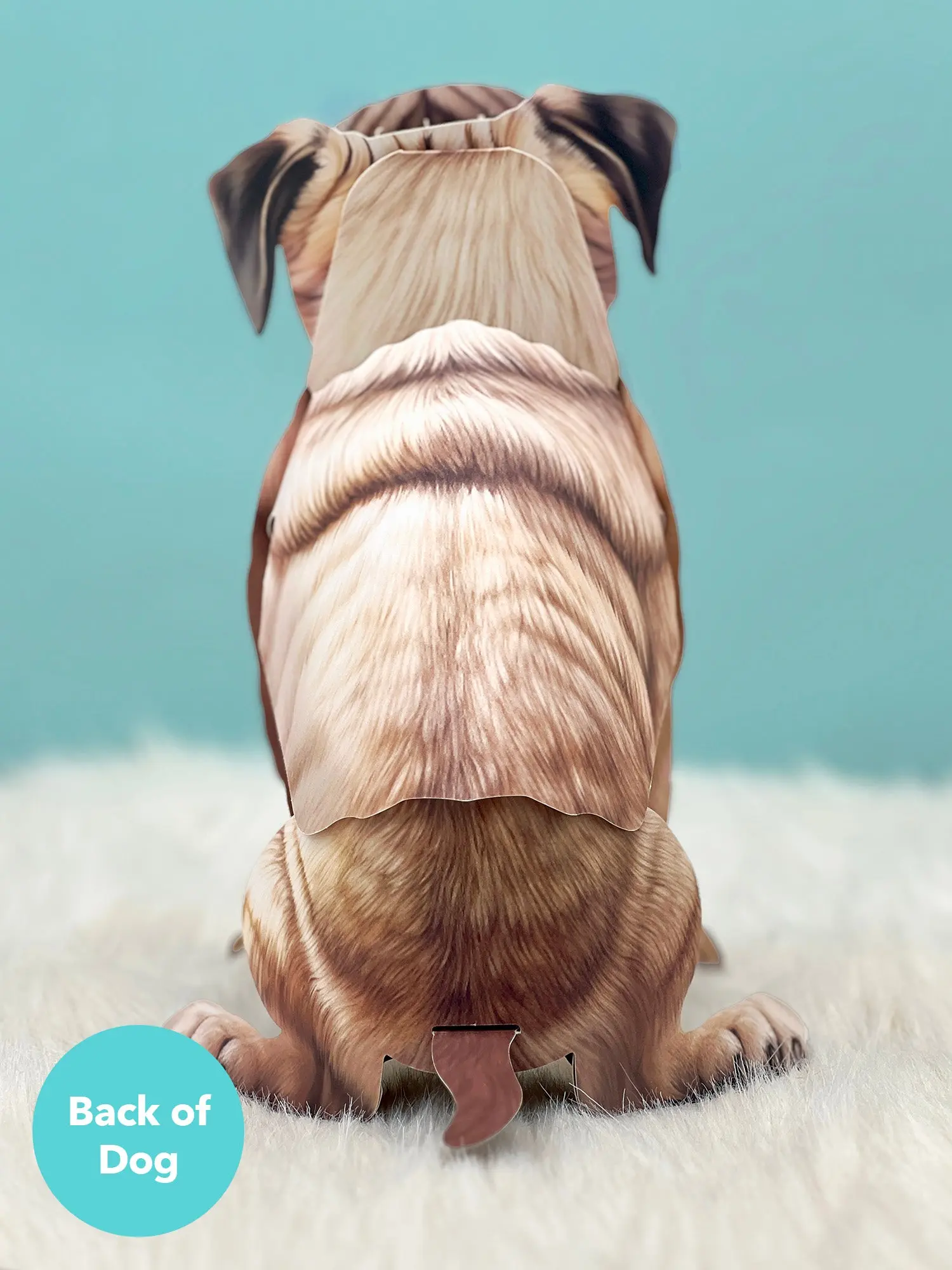 Pug - Image 3