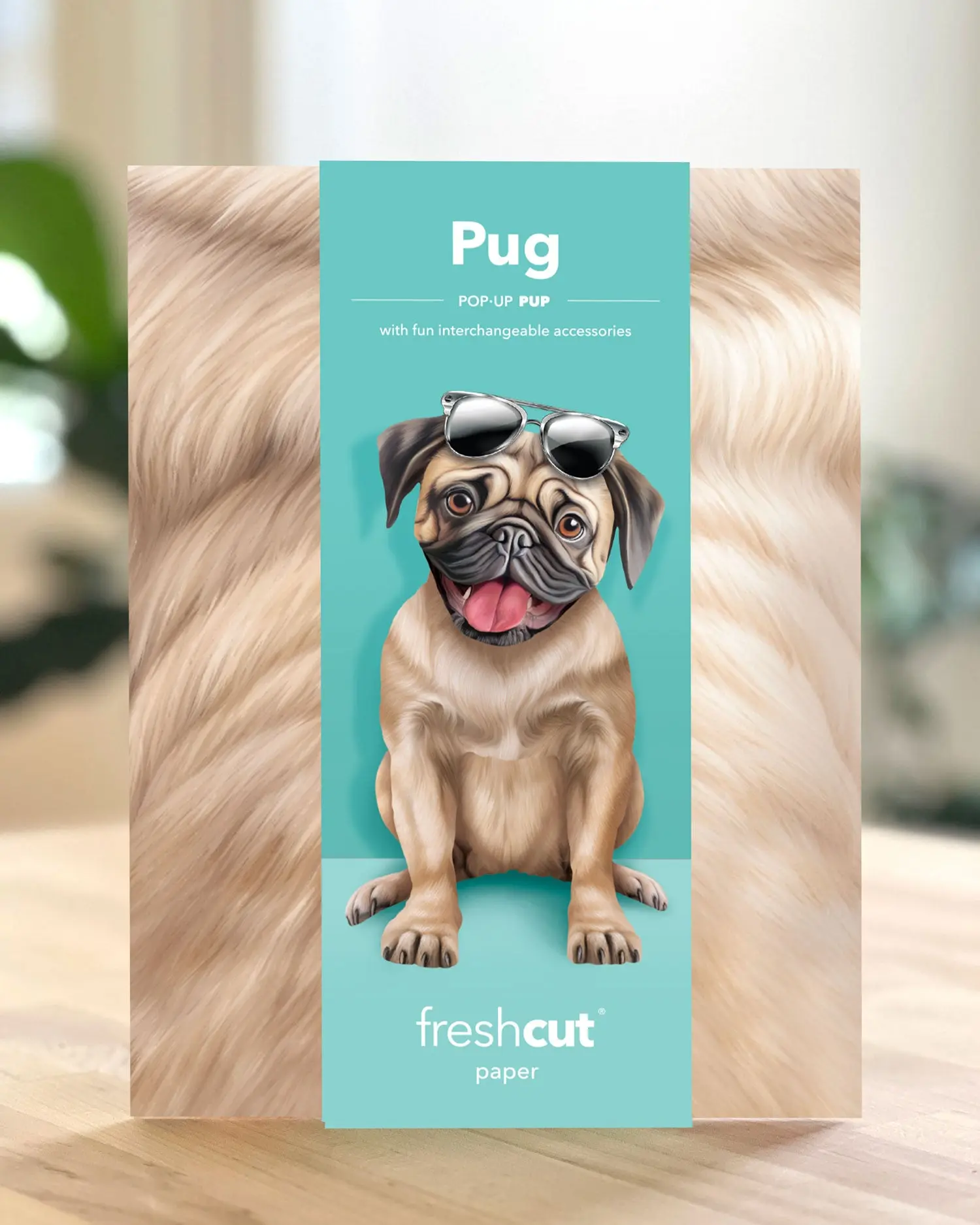 Pug - Image 5