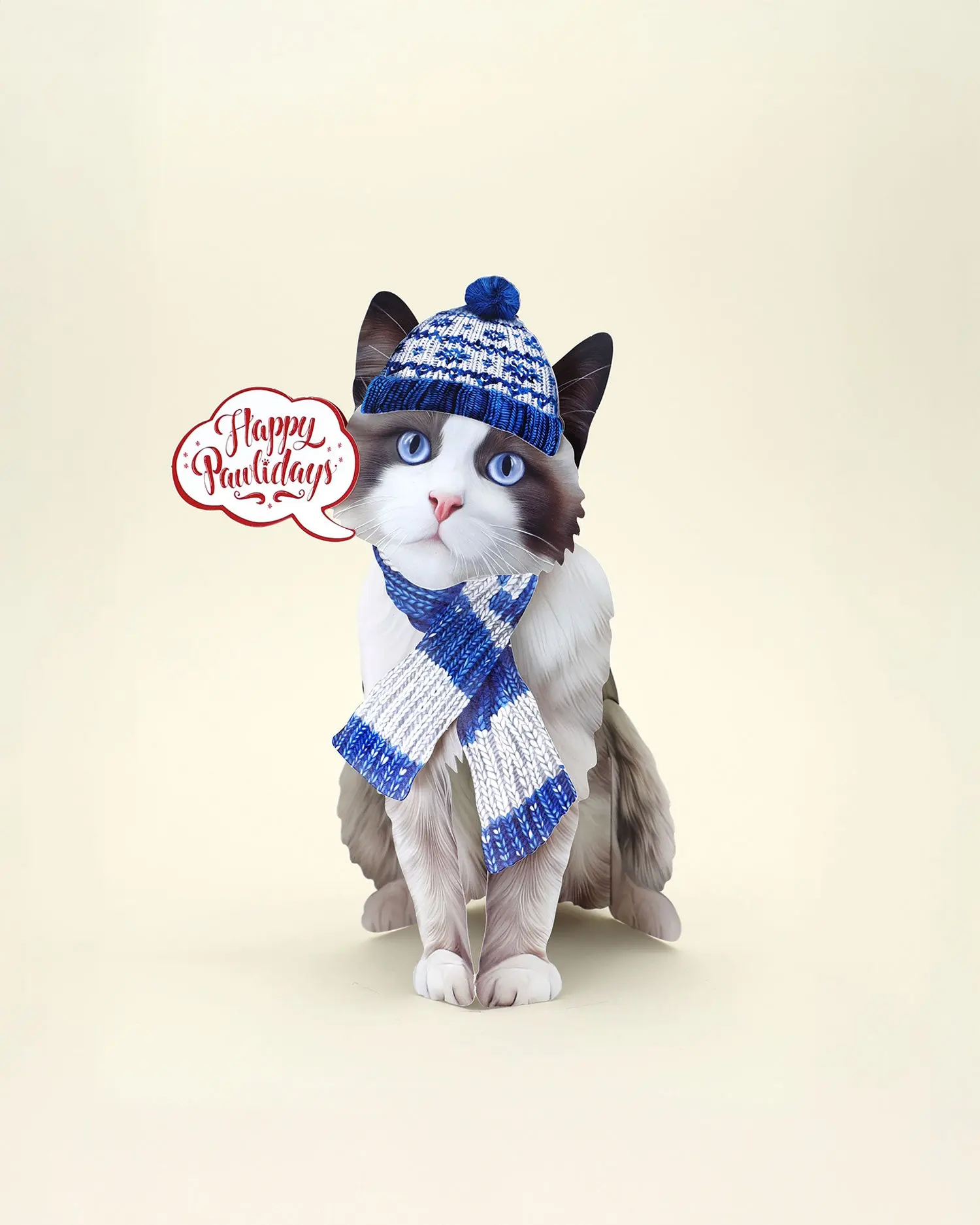 Holiday Ragdoll Cat