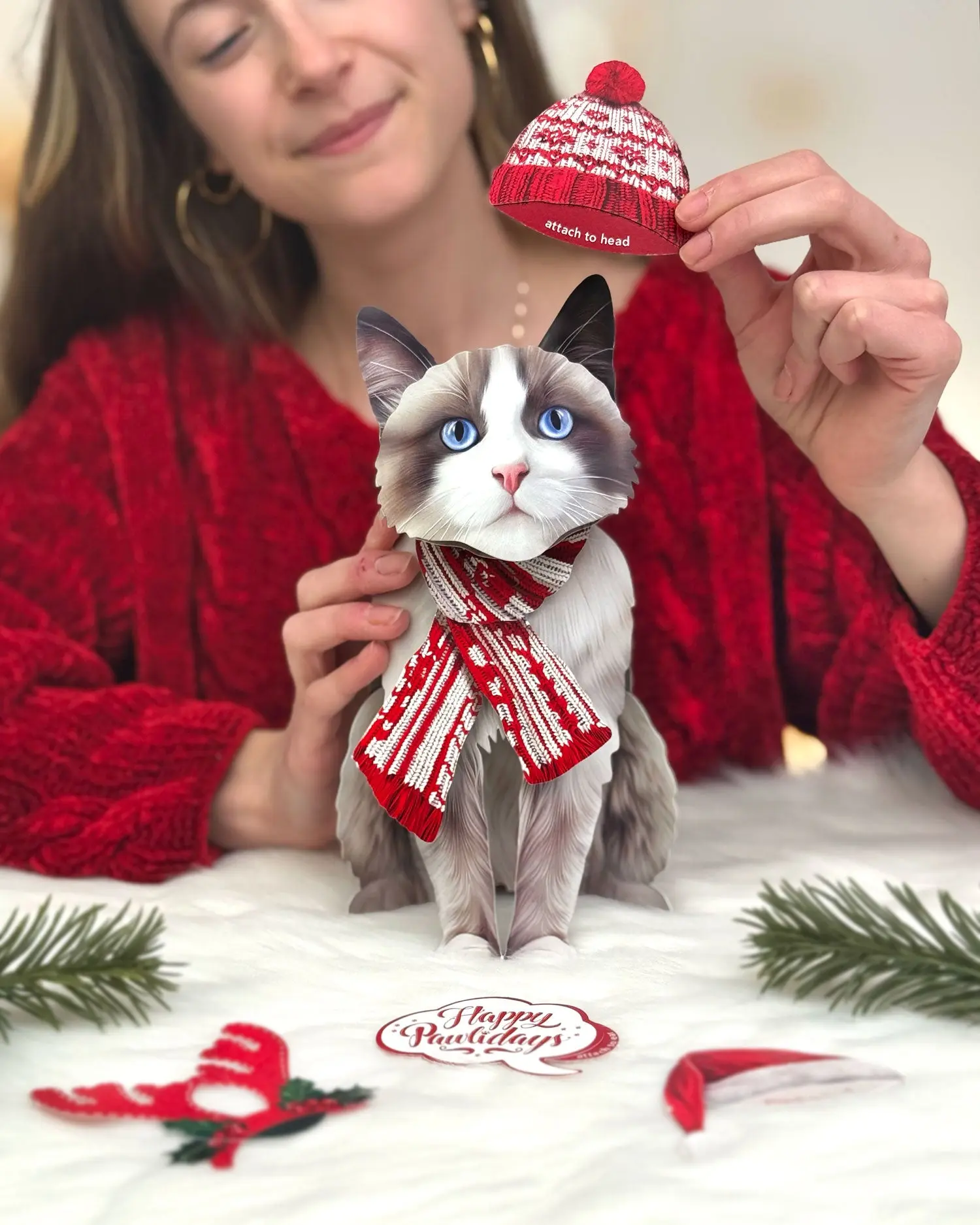 Holiday Ragdoll Cat - Image 2