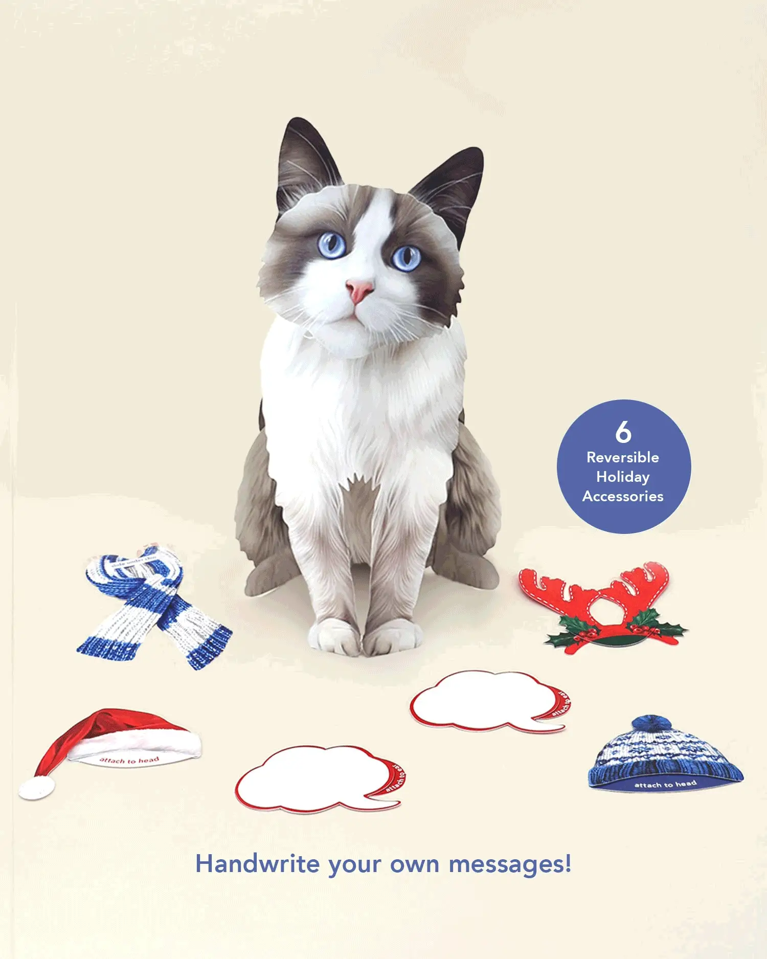 Holiday Ragdoll Cat - Image 3