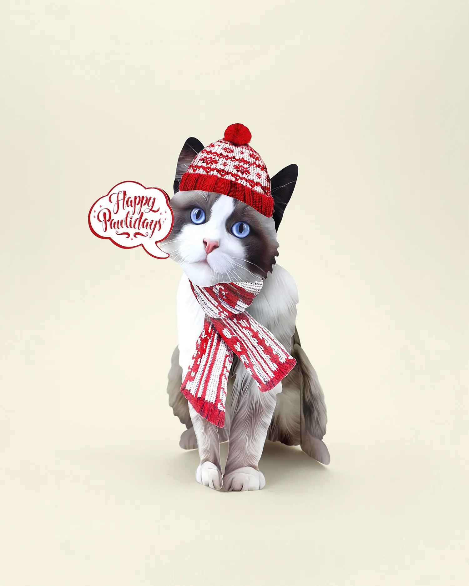 Holiday Ragdoll Cat - Image 4