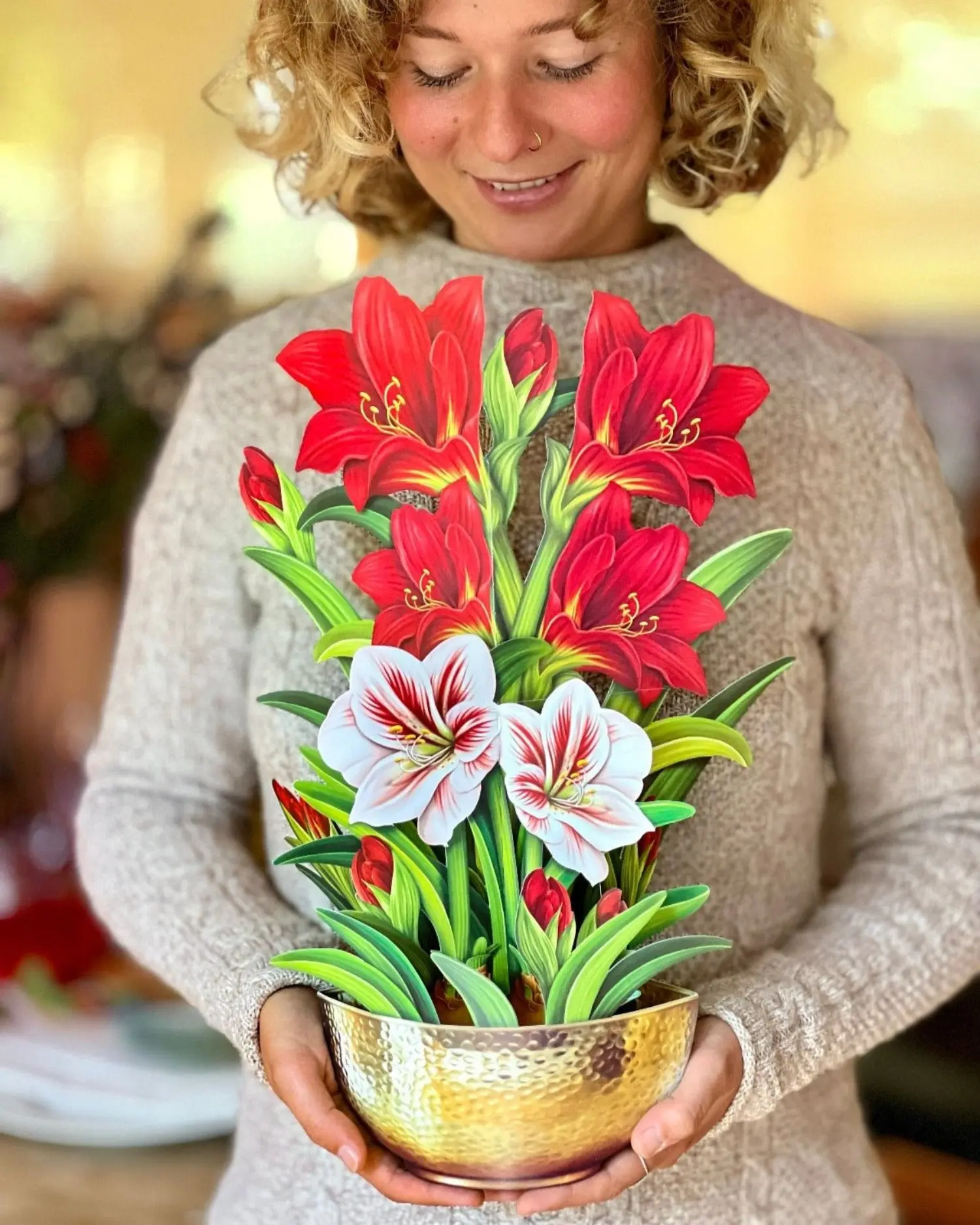 Christmas Scarlet Amaryllis - Image 2