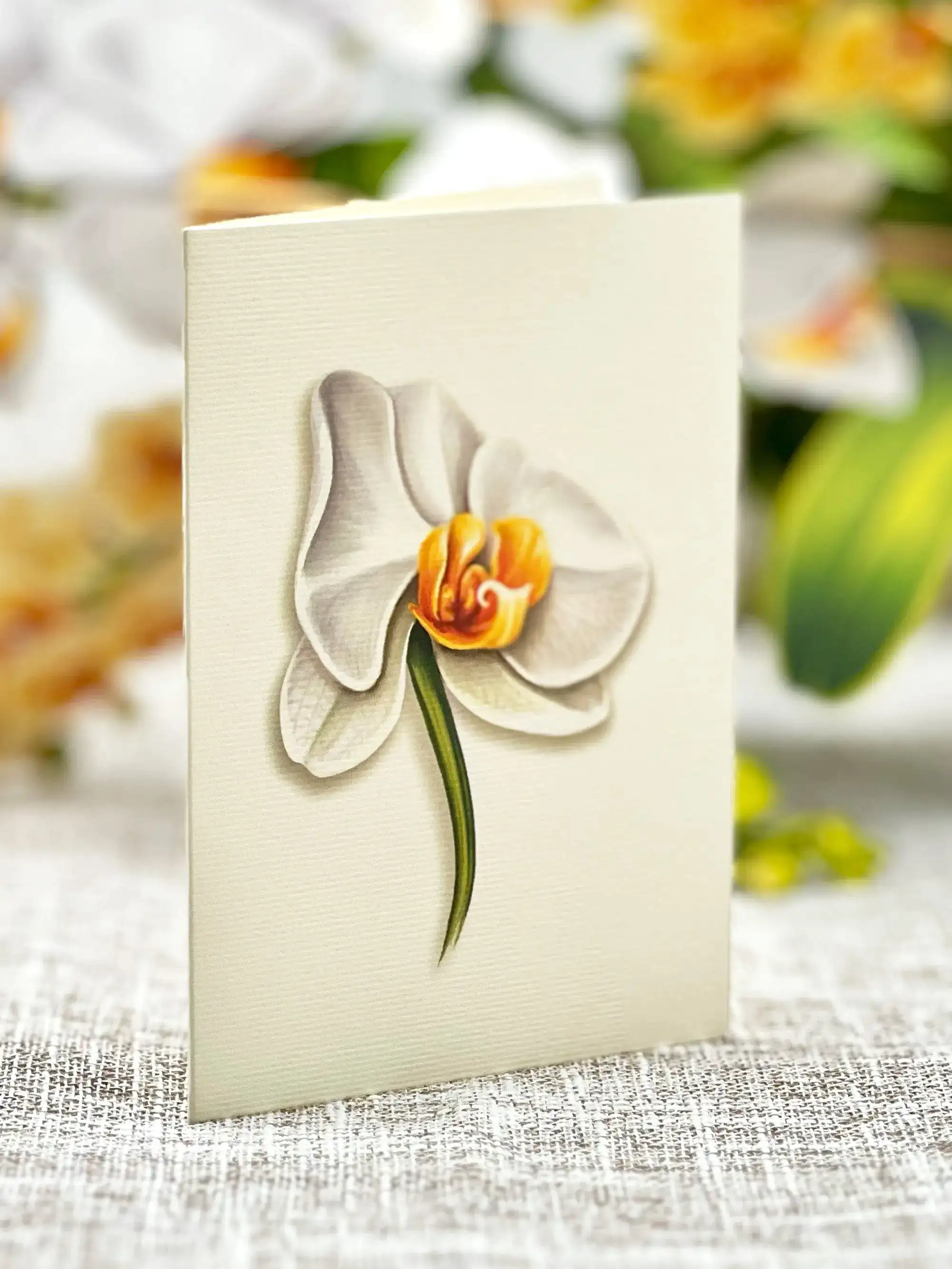 Serenity Orchid - Image 5