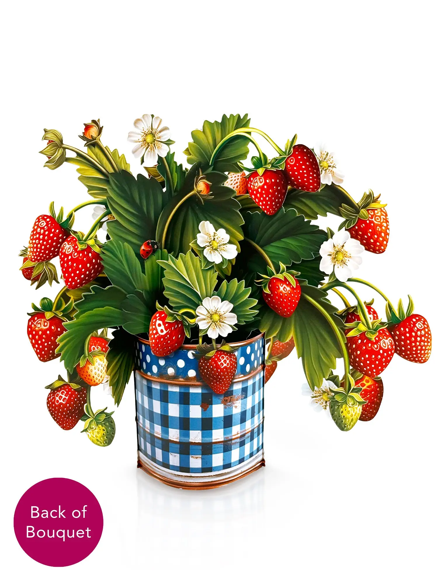 Strawberry Blossom - Image 3