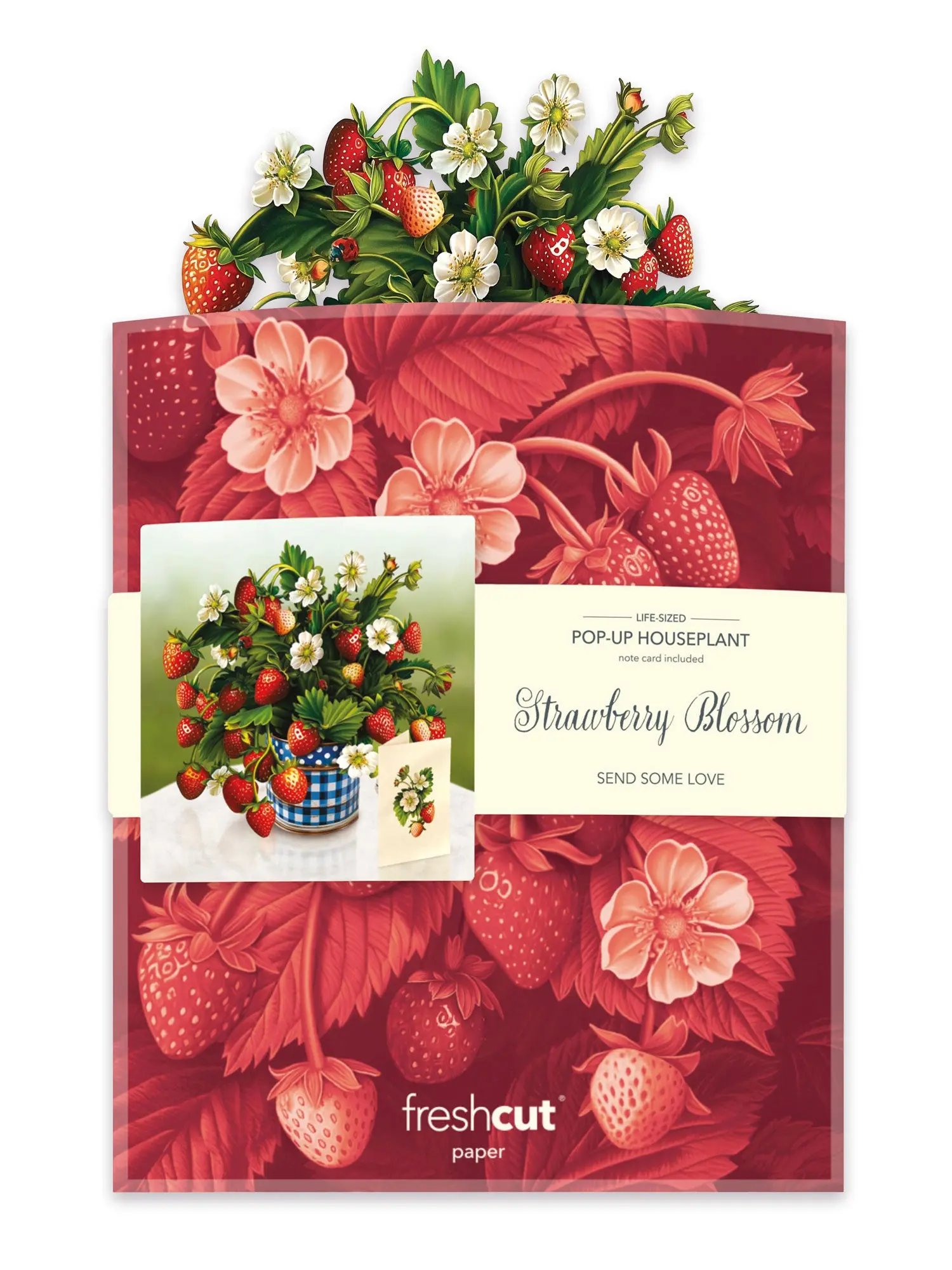 Strawberry Blossom - Image 5