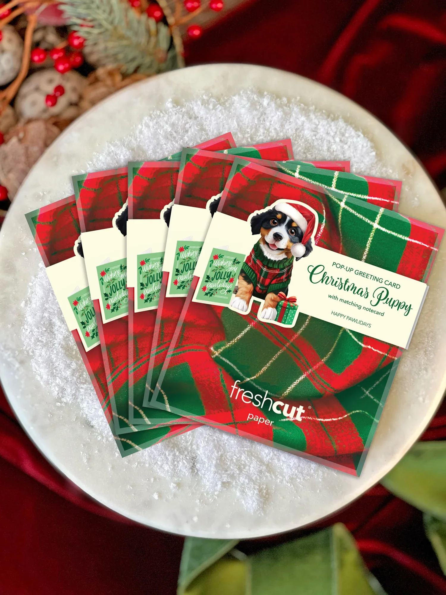 Tiny Paws Christmas Set - Image 4