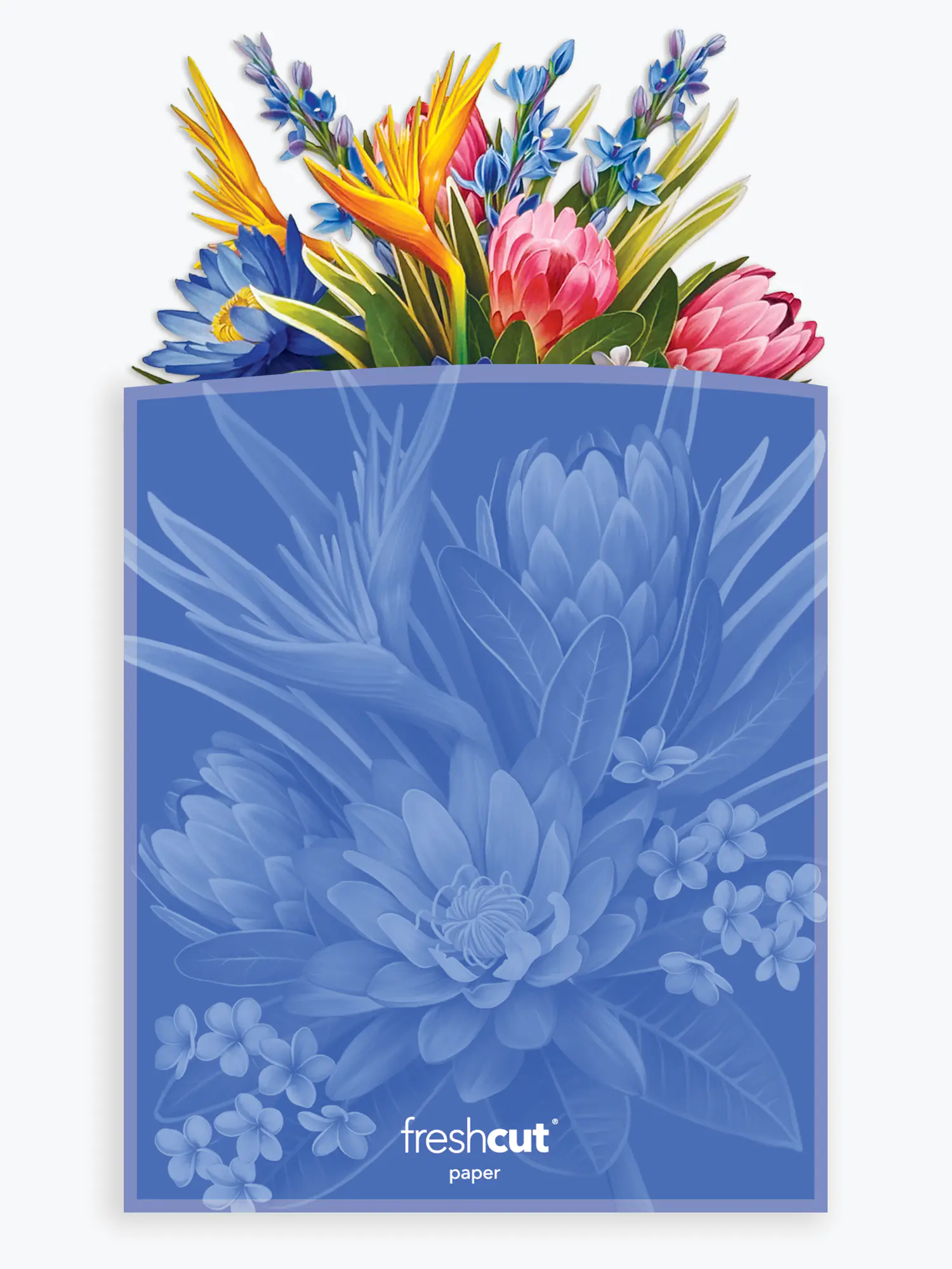 Tropical Paradise - Image 5