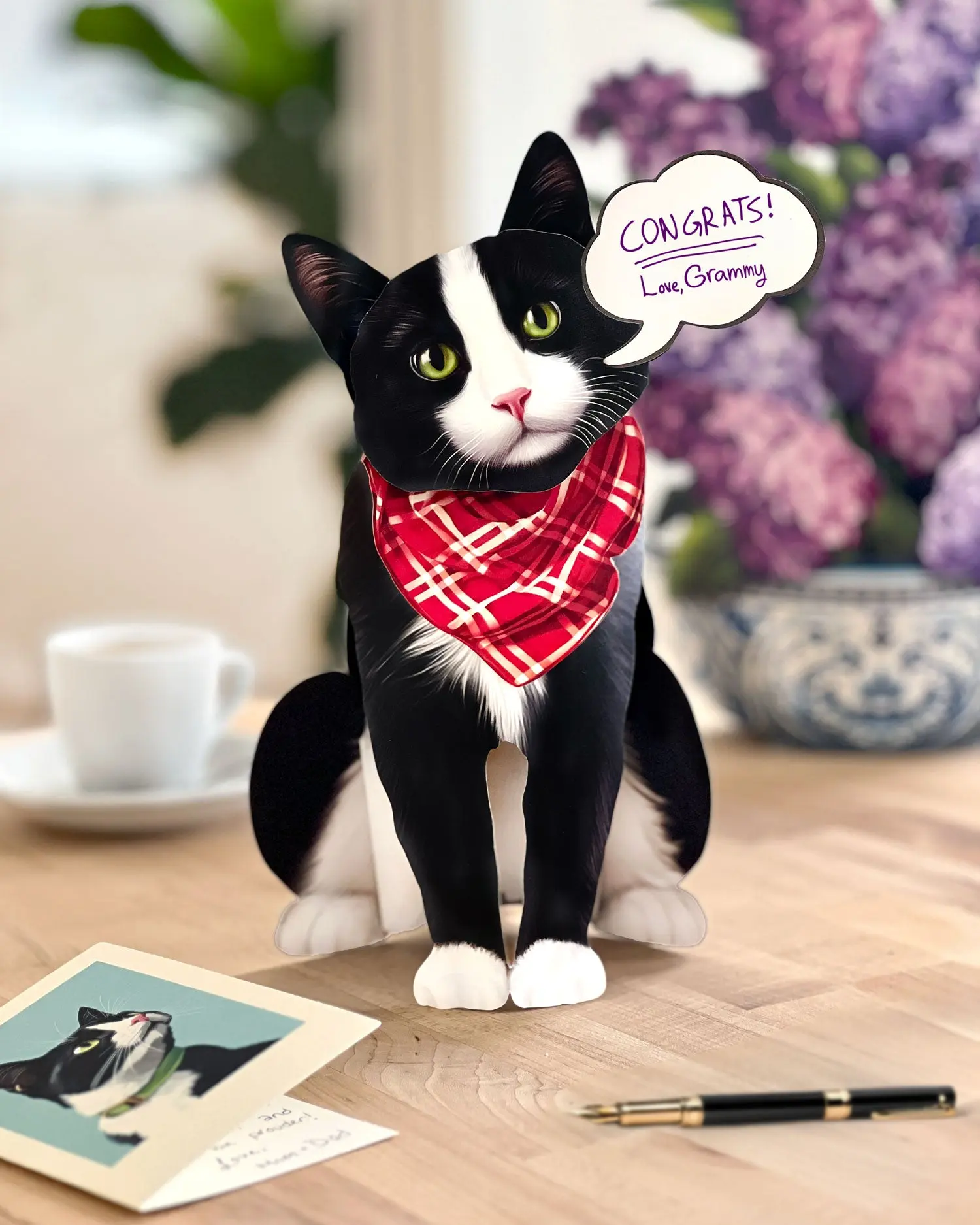 Tuxedo Cat