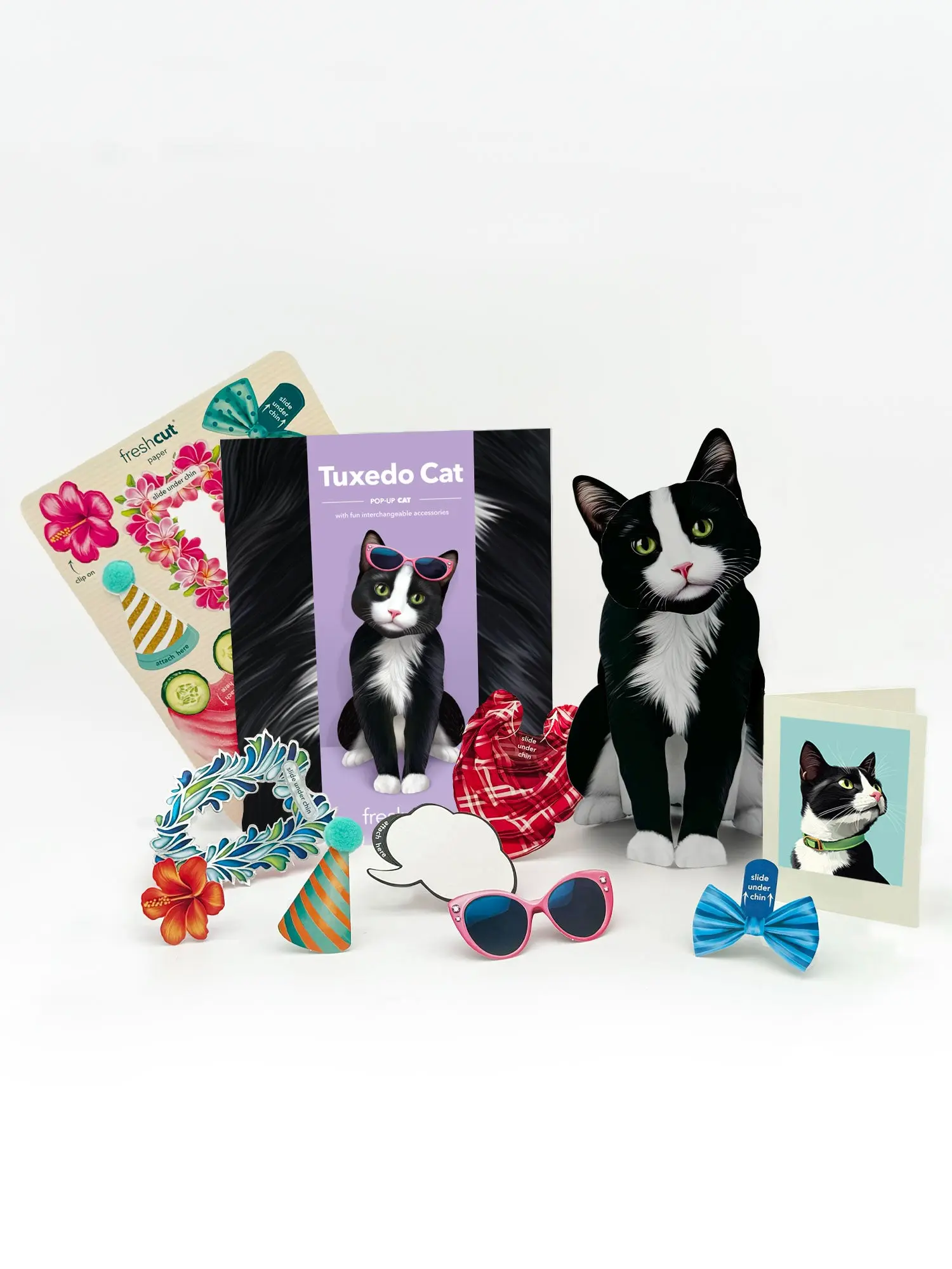 Tuxedo Cat - Image 2