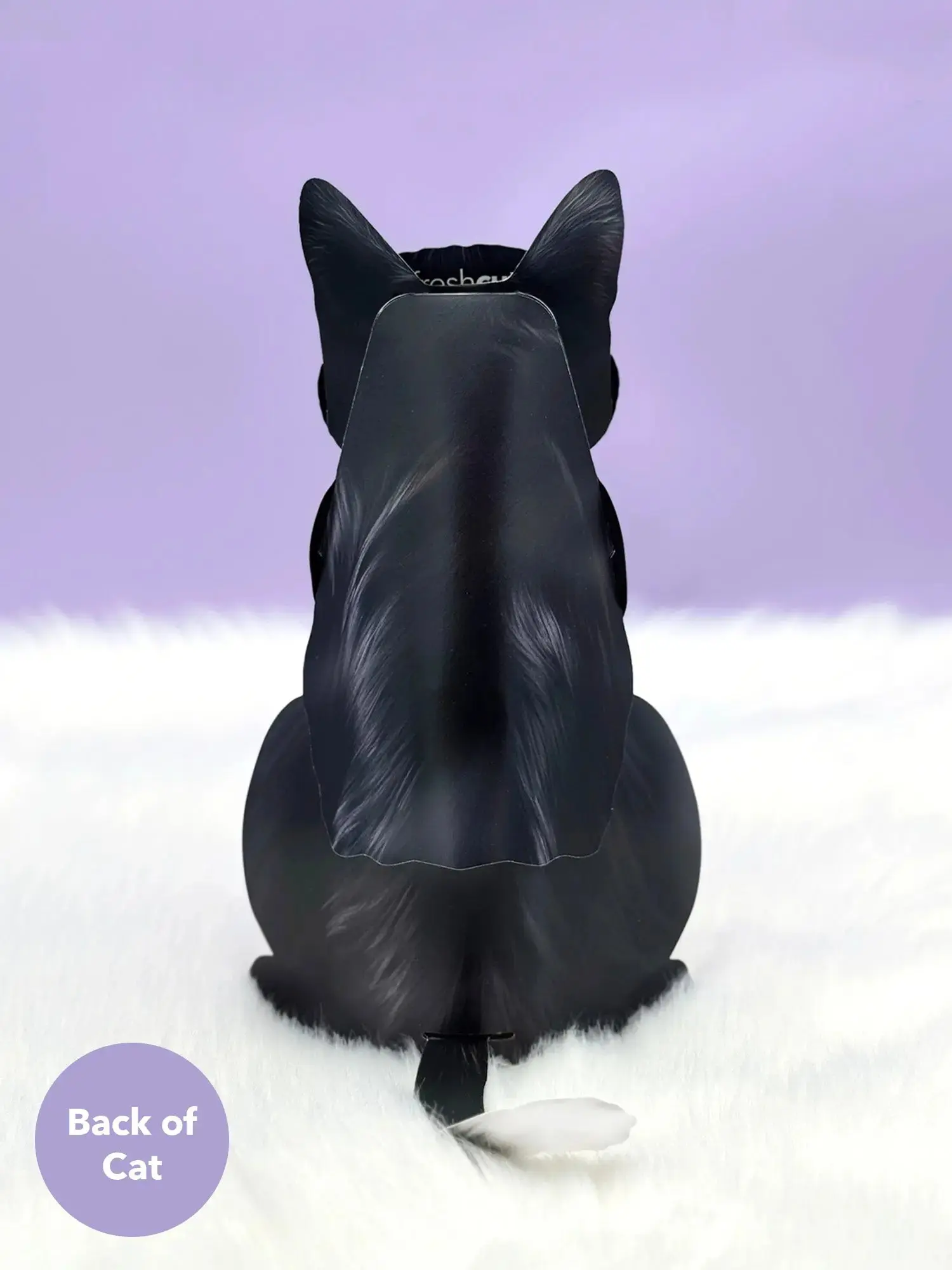 Tuxedo Cat - Image 4