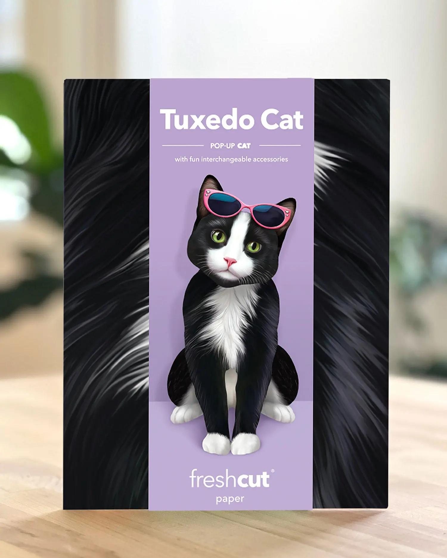 Tuxedo Cat - Image 5