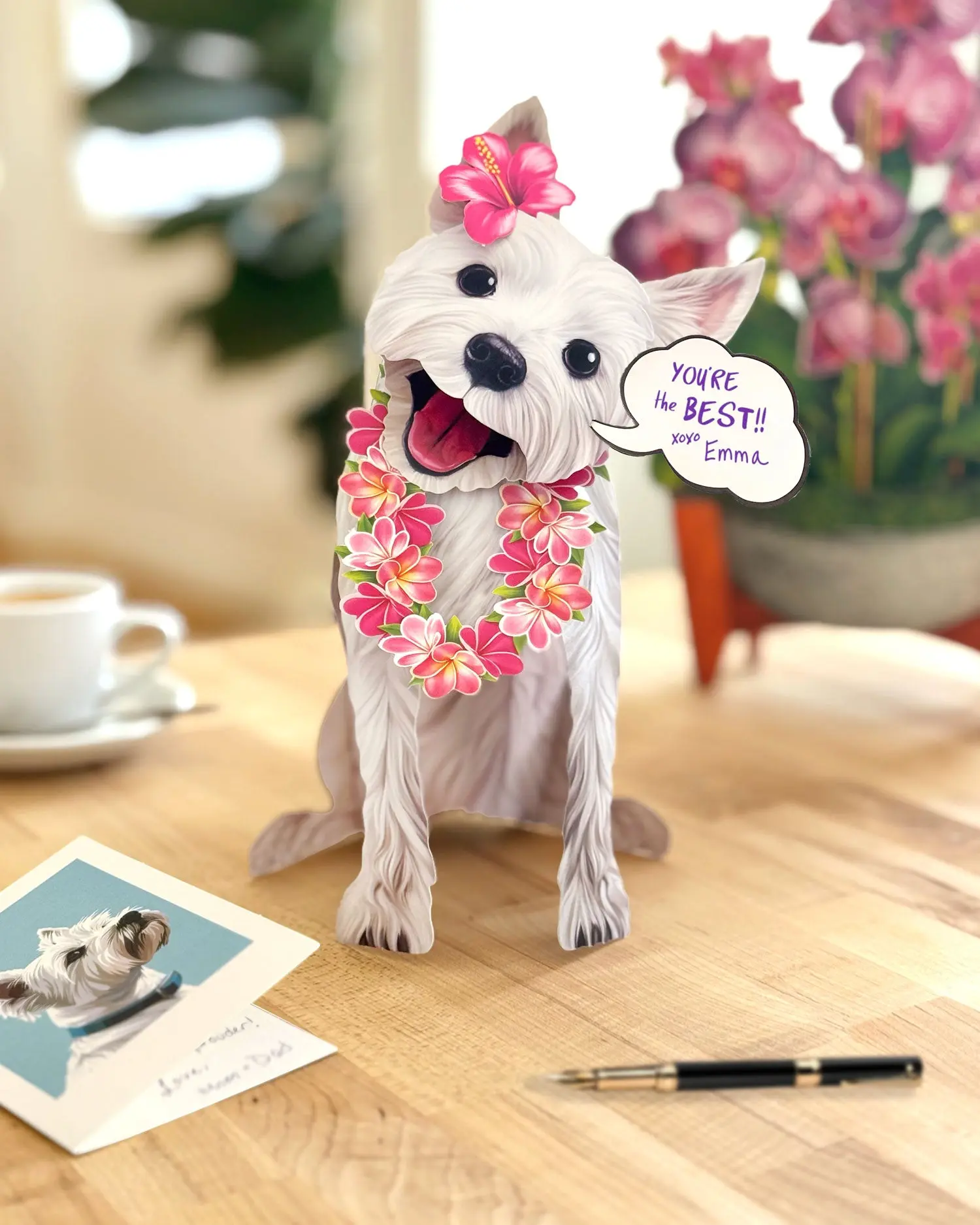 Westie