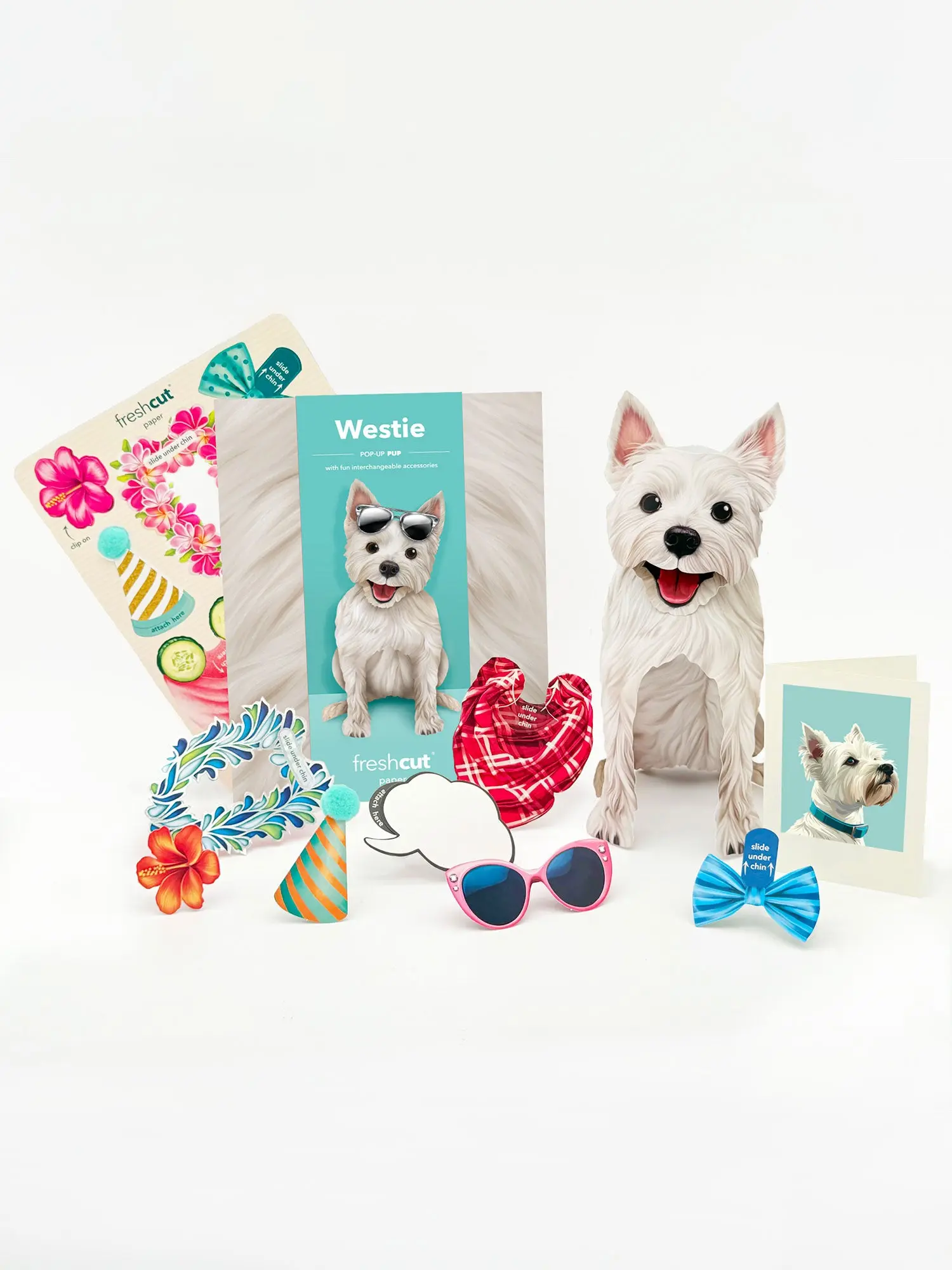 Westie - Image 2
