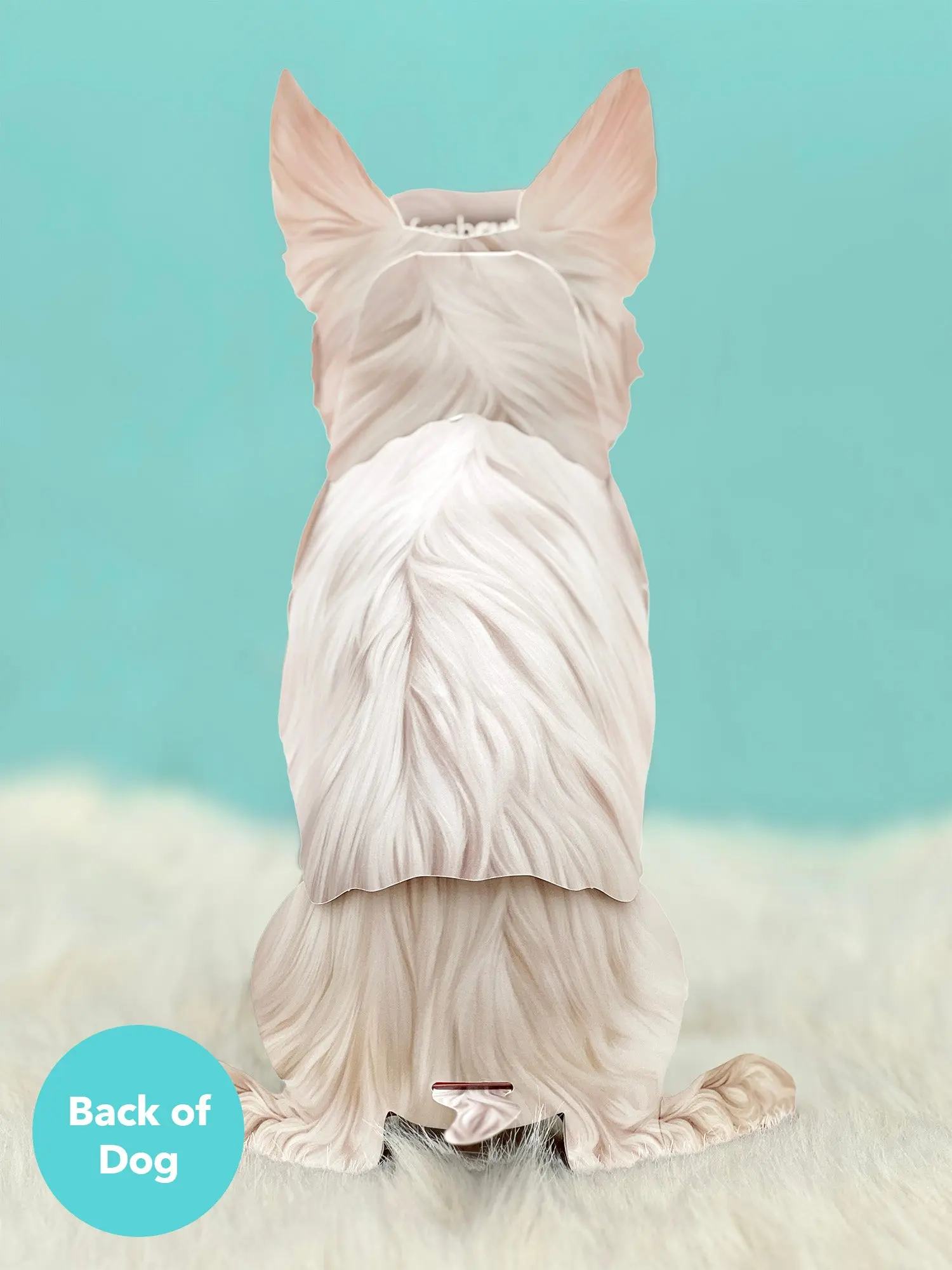 Westie - Image 3