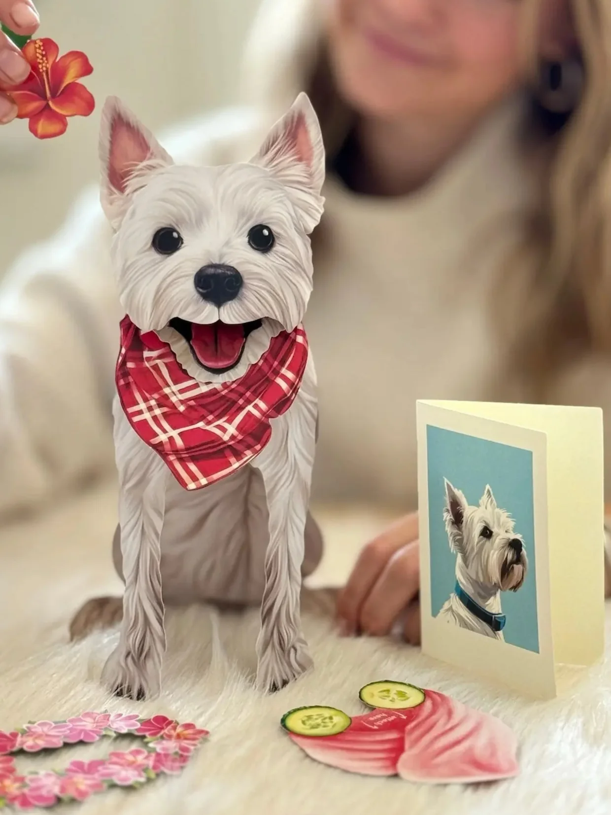 Westie - Image 4