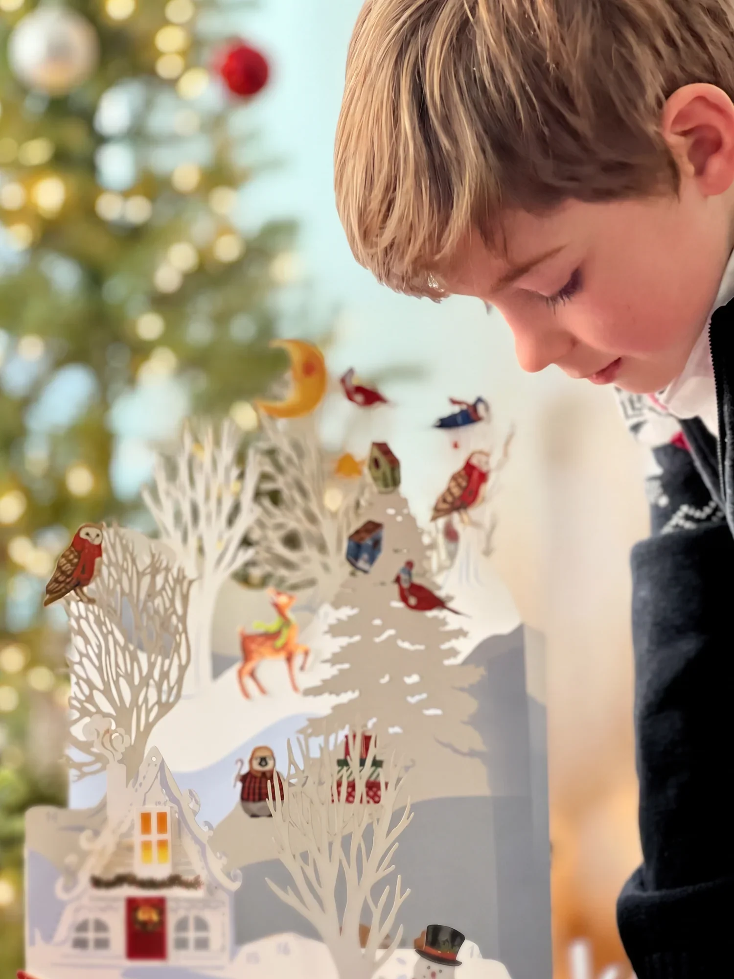 Woodland Wonderland Advent Trio - Image 5